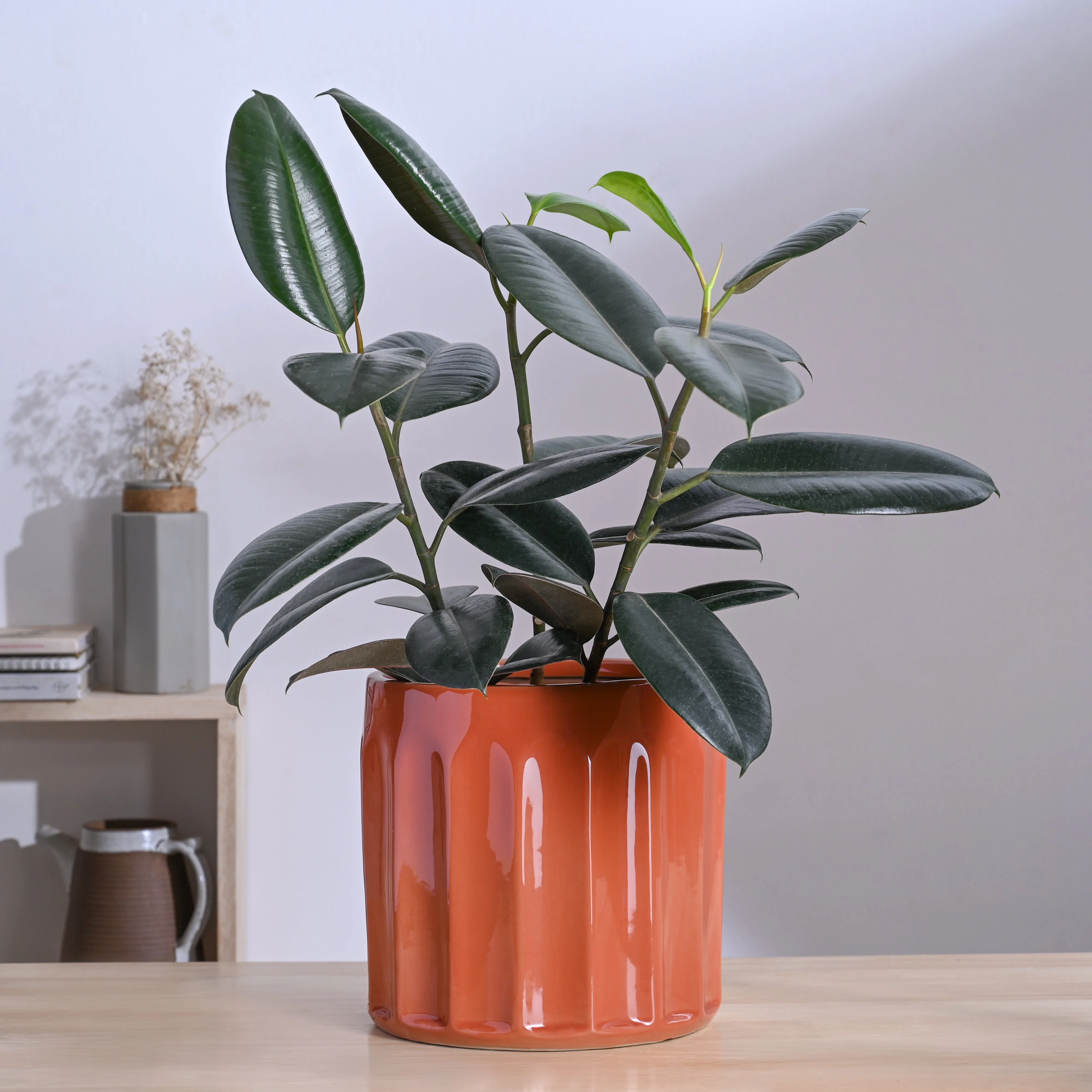 Blushing Sun Ceramic Planter - Image 29