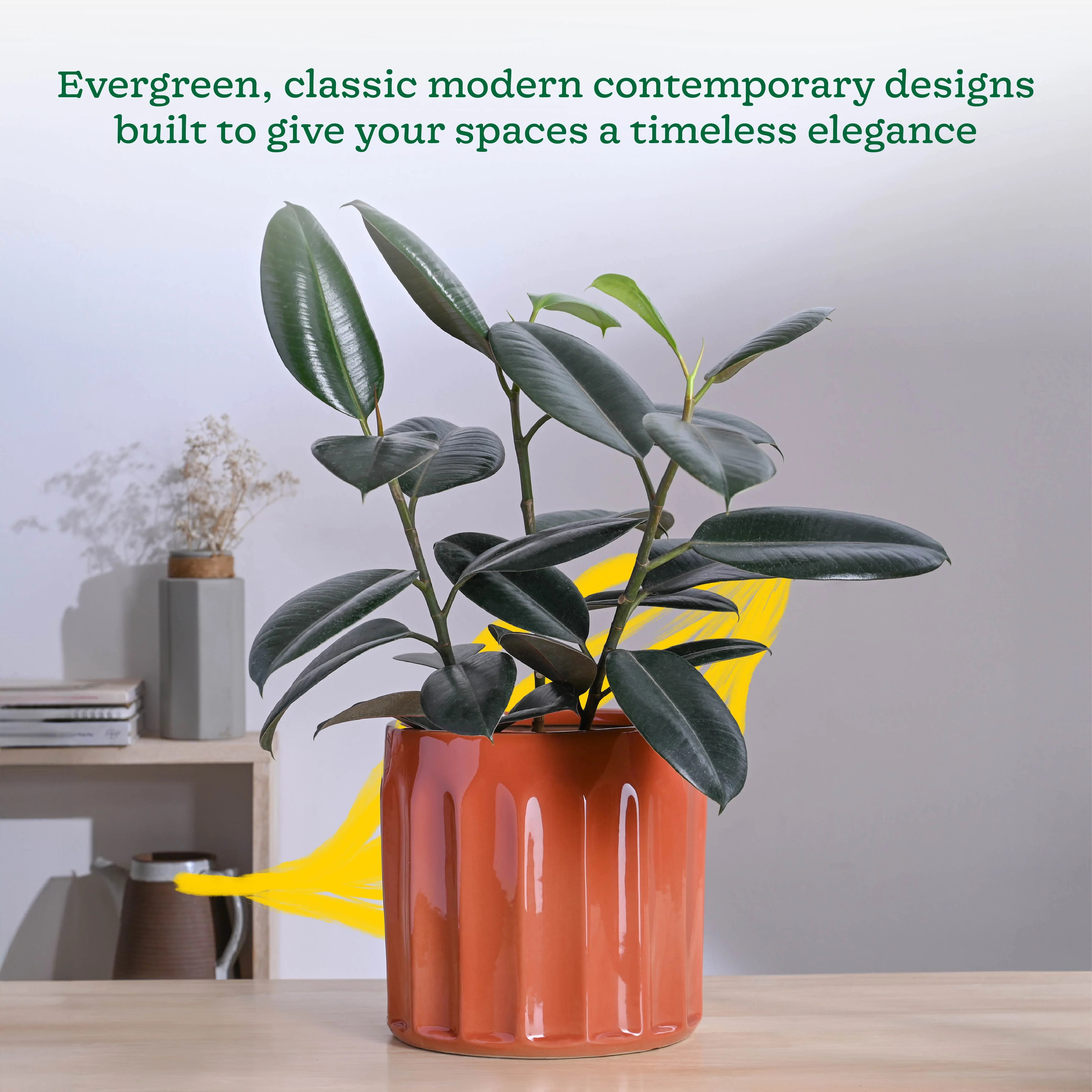 Blushing Sun Ceramic Planter - Image 30