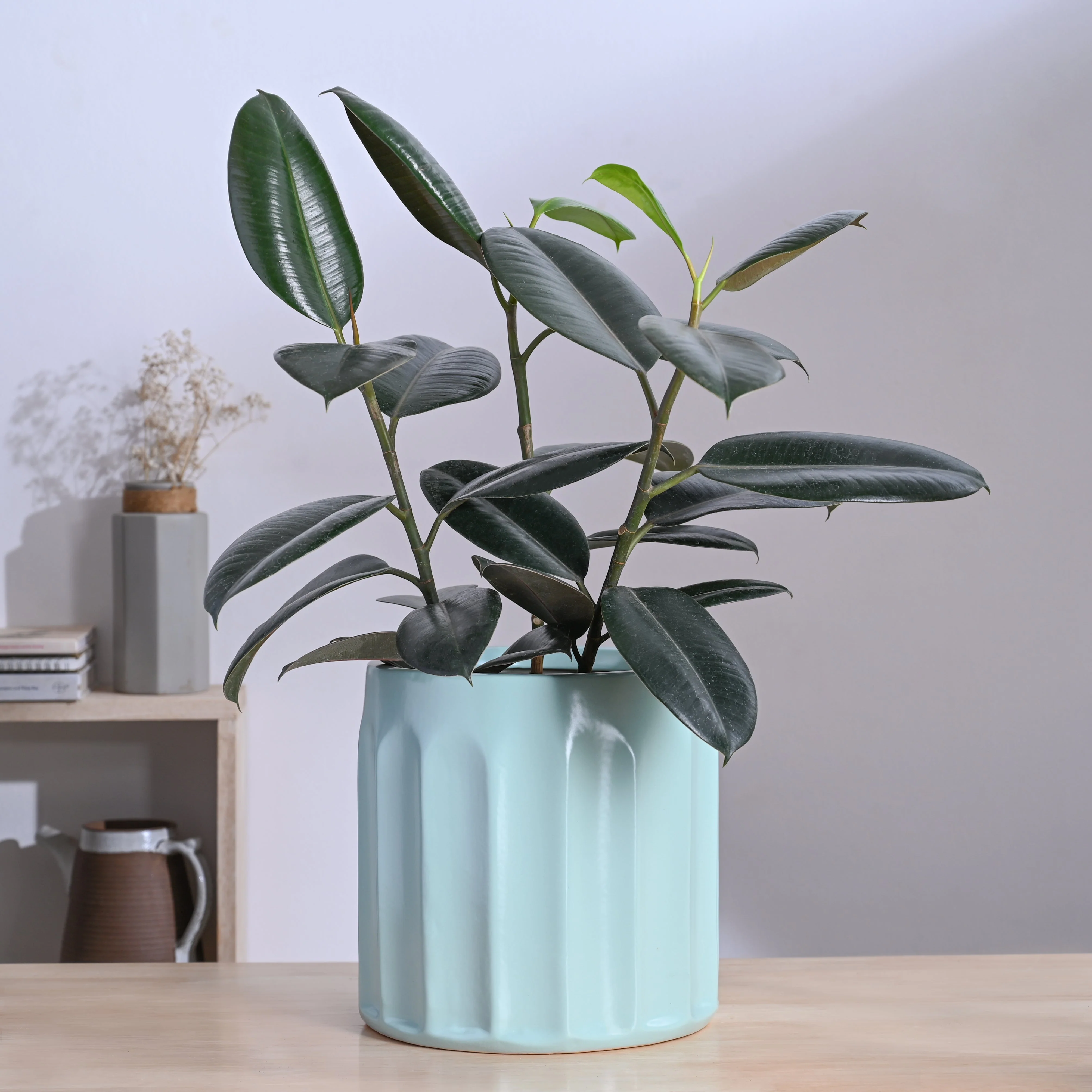 Blushing Sun Ceramic Planter - Image 37