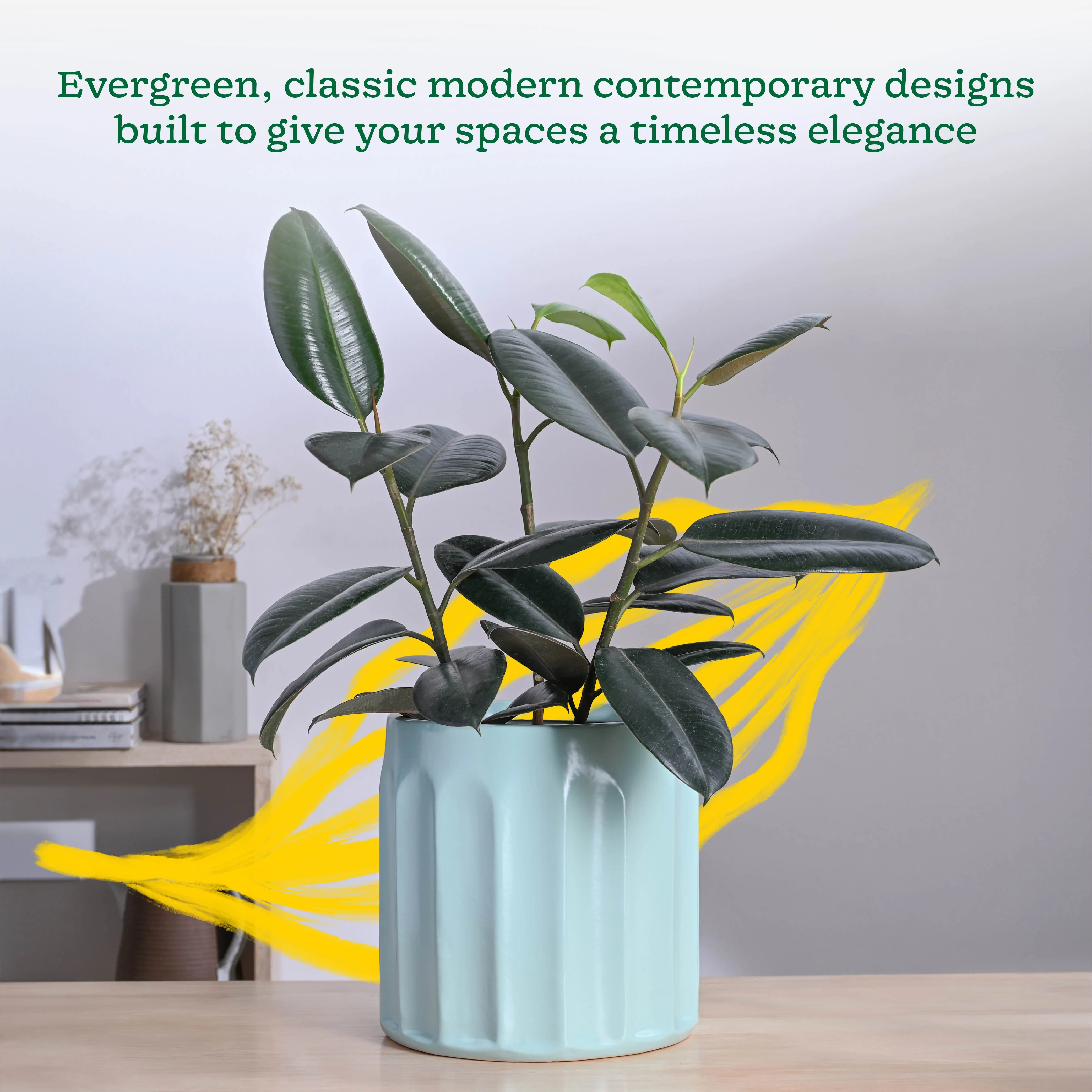 Blushing Sun Ceramic Planter - Image 38