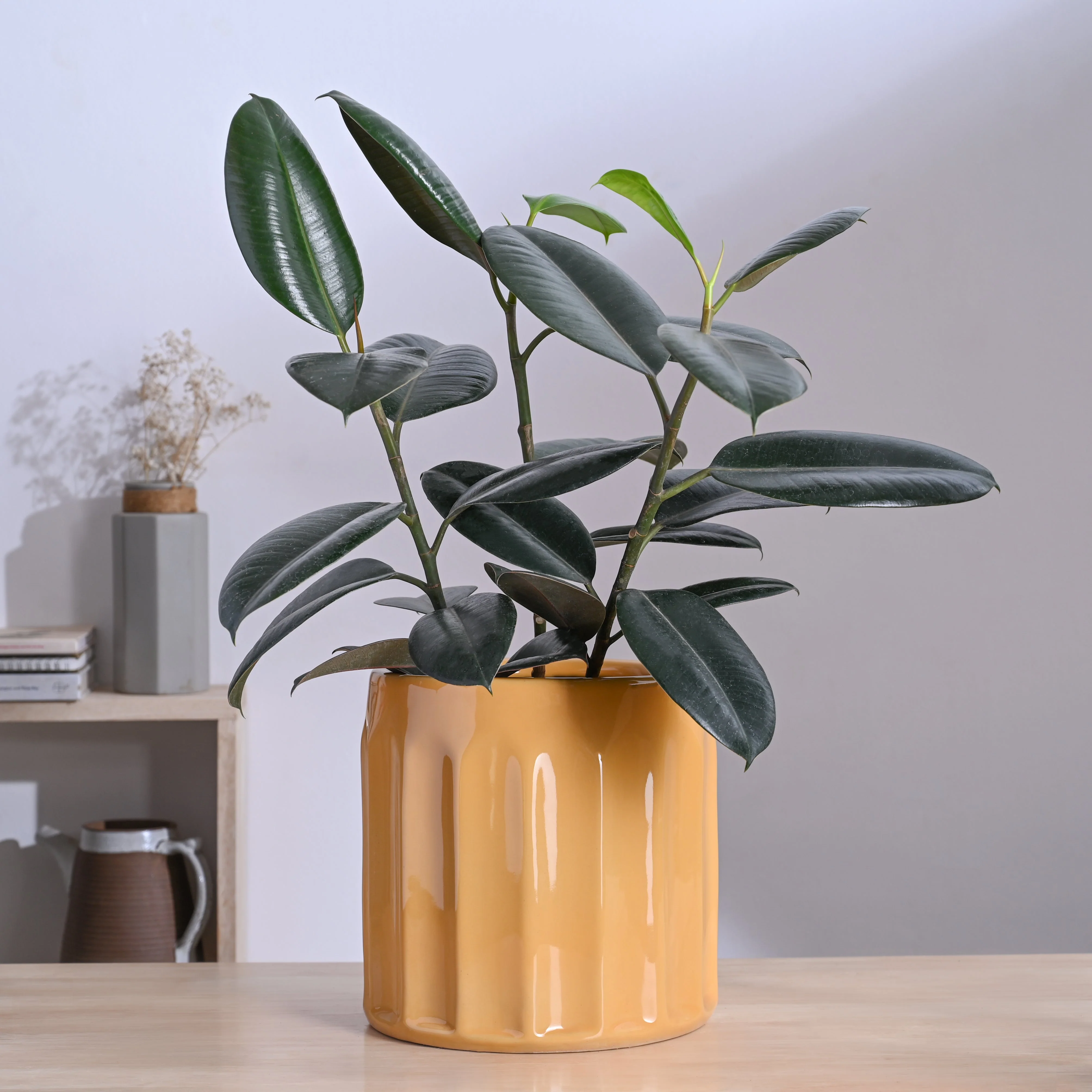 Blushing Sun Ceramic Planter - Image 45