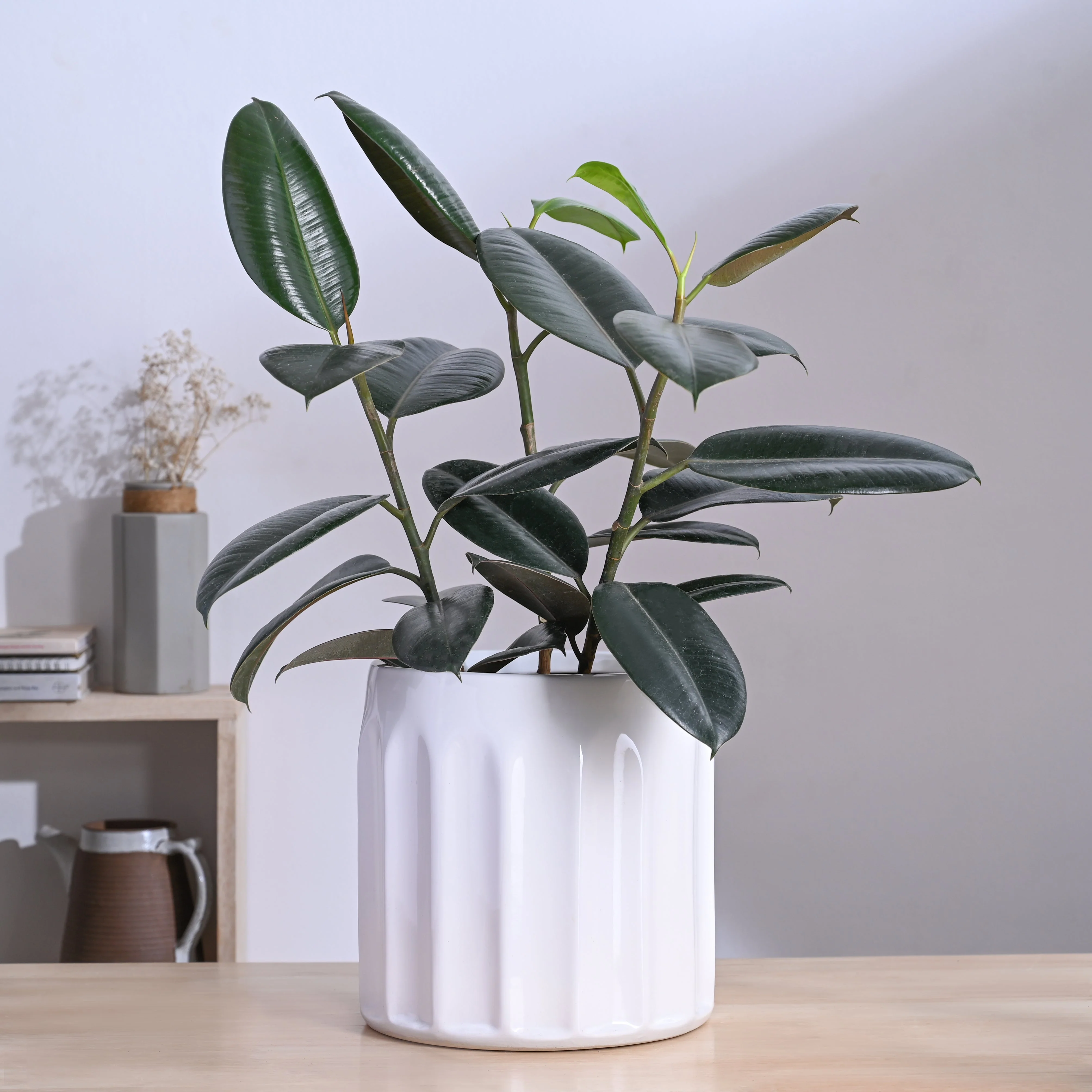Blushing Sun Ceramic Planter - Image 53