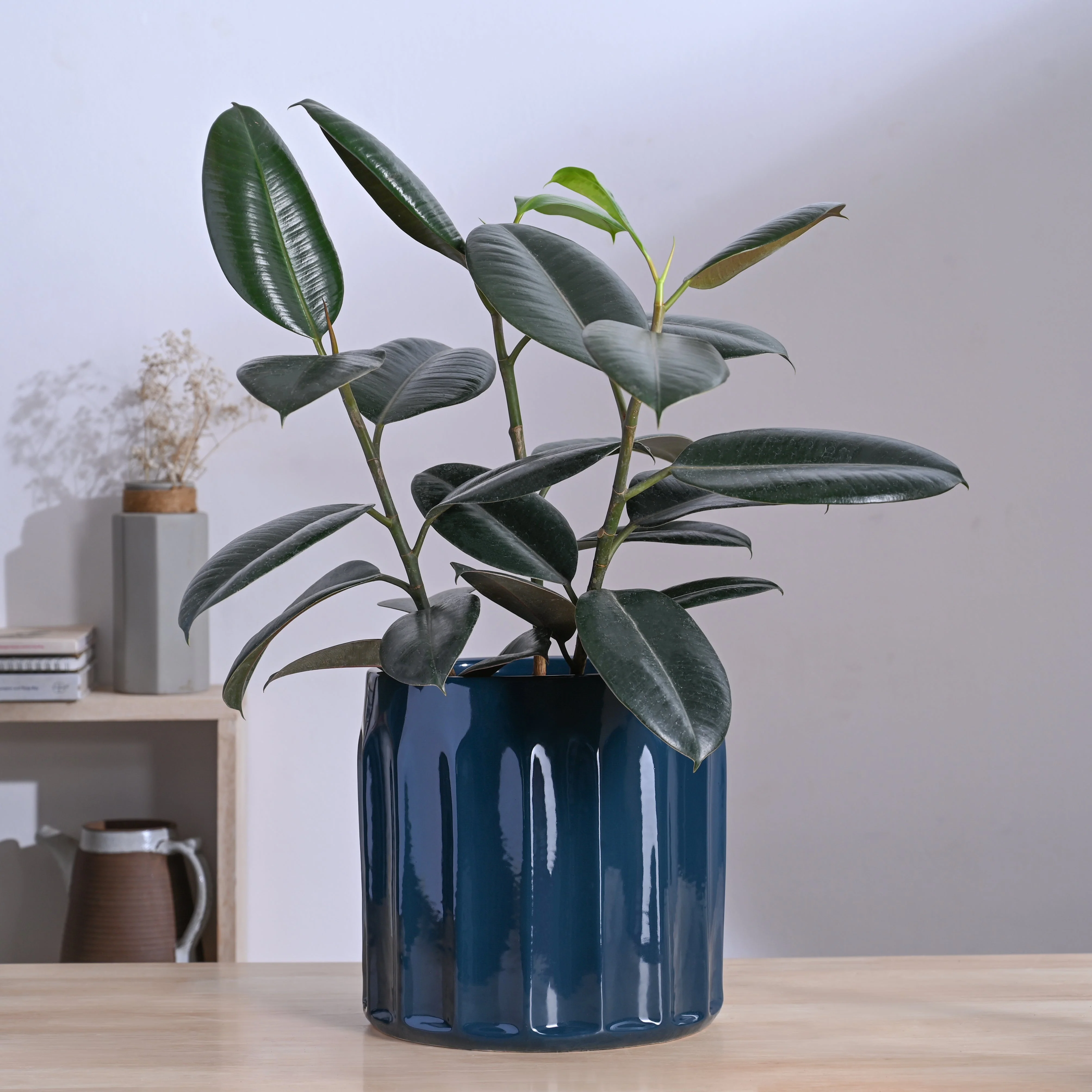 Blushing Sun Ceramic Planter - Image 61