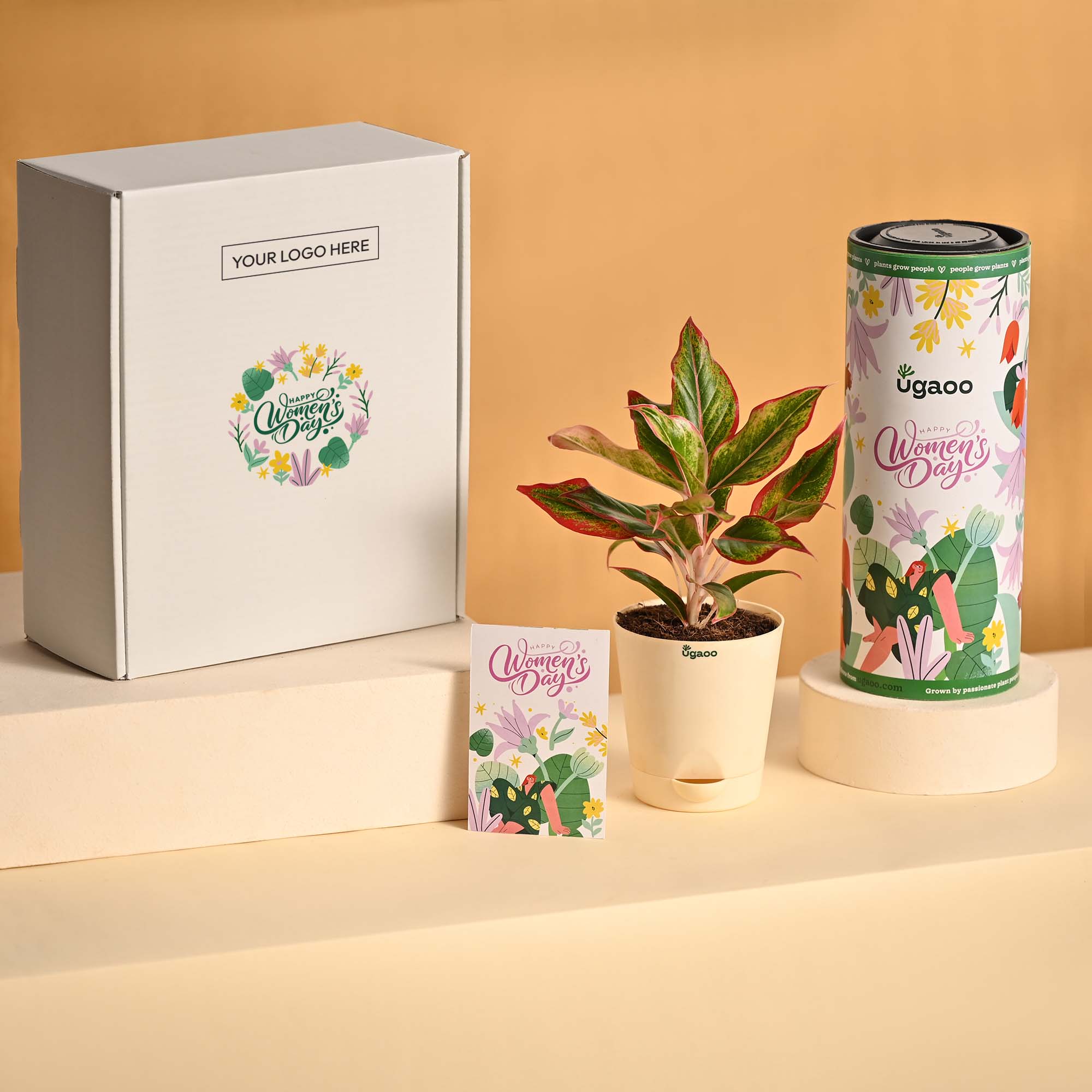 Bold & Bloom – Women’s Day Celebration Hamper - Image 2