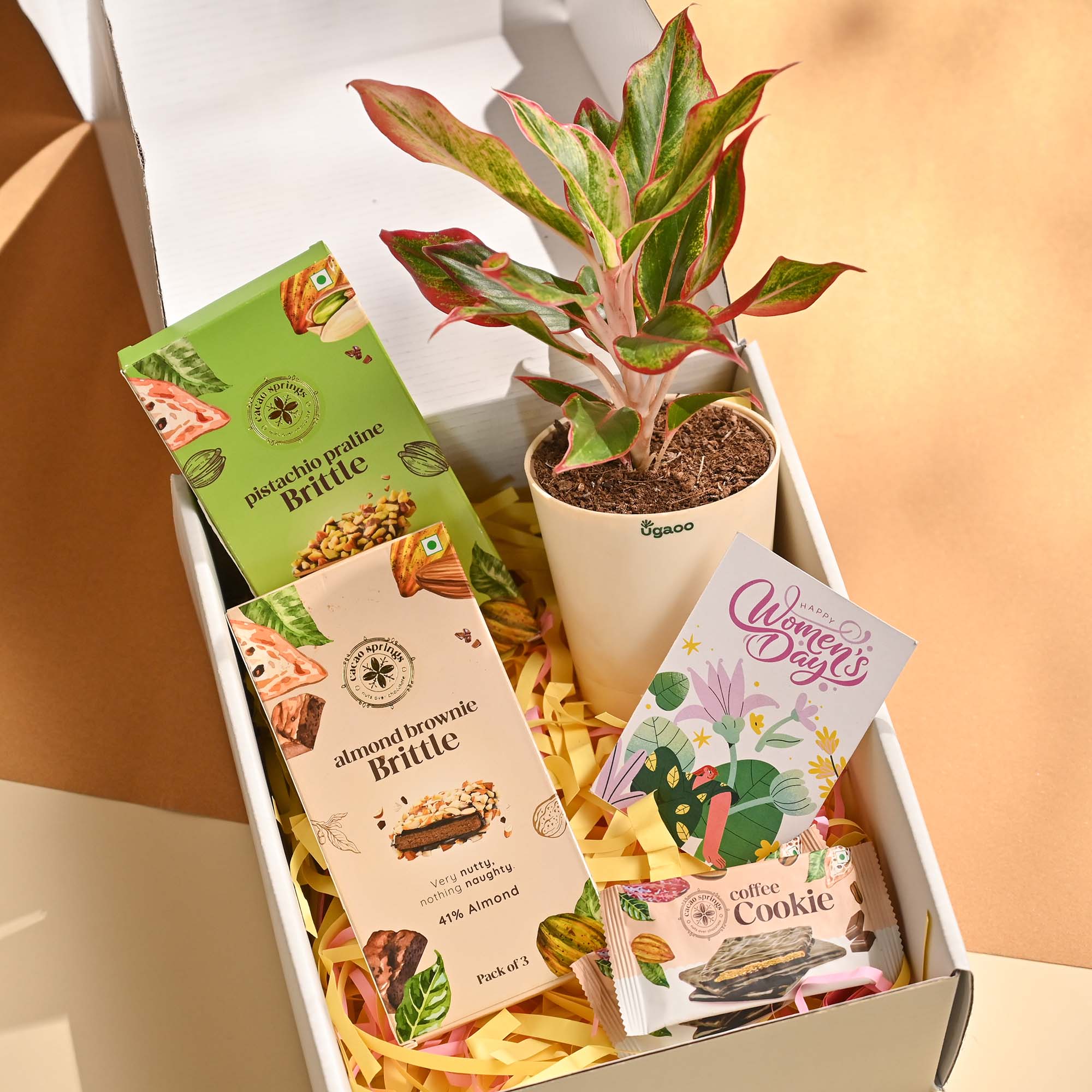 Bold & Bloom – Women’s Day Celebration Hamper - Image 9