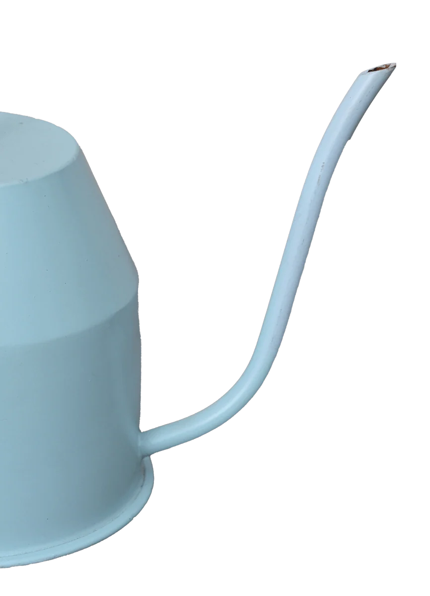 Calypso Watering Can - Sky Blue & gold - Image 6