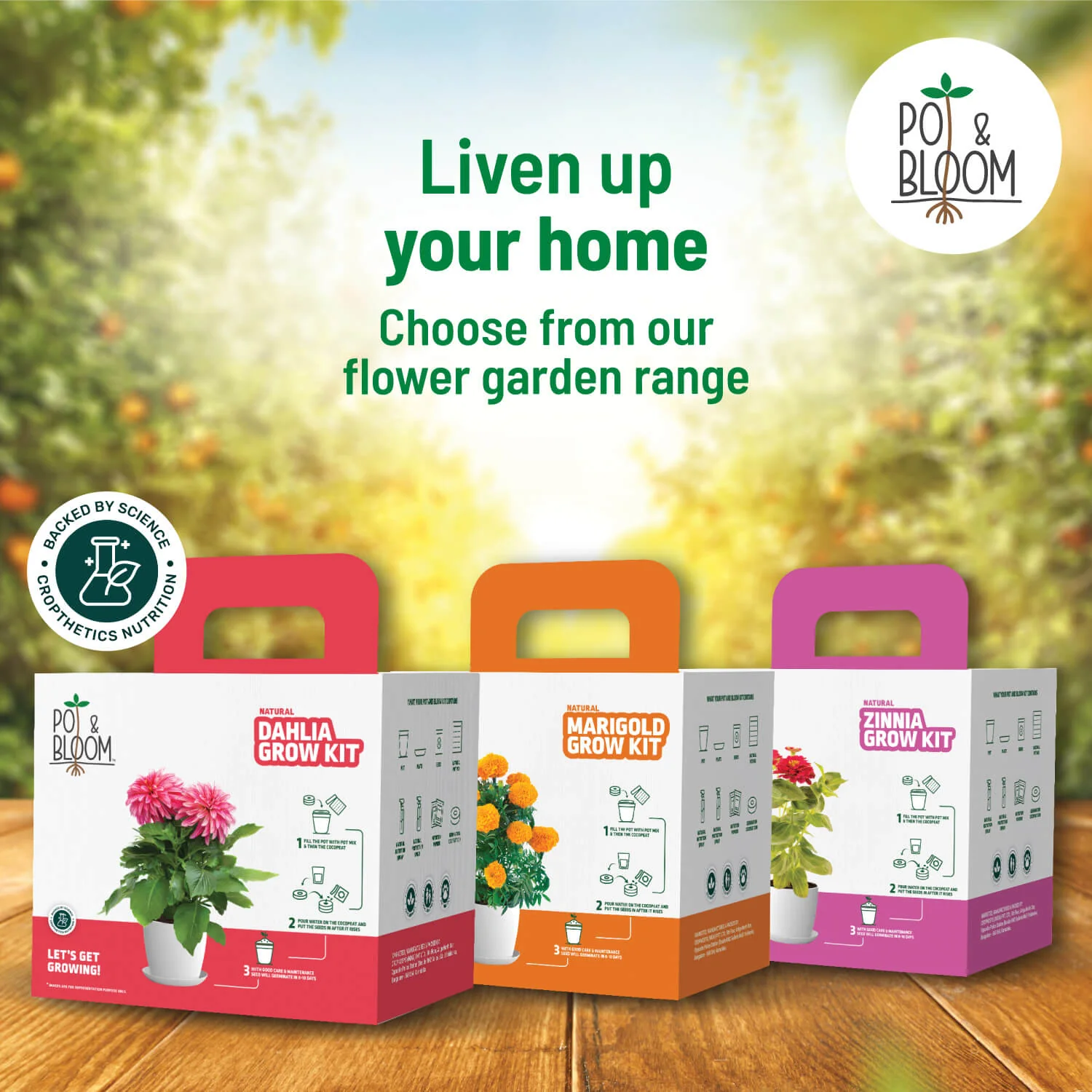 Capsicum Grow Kit - Image 6