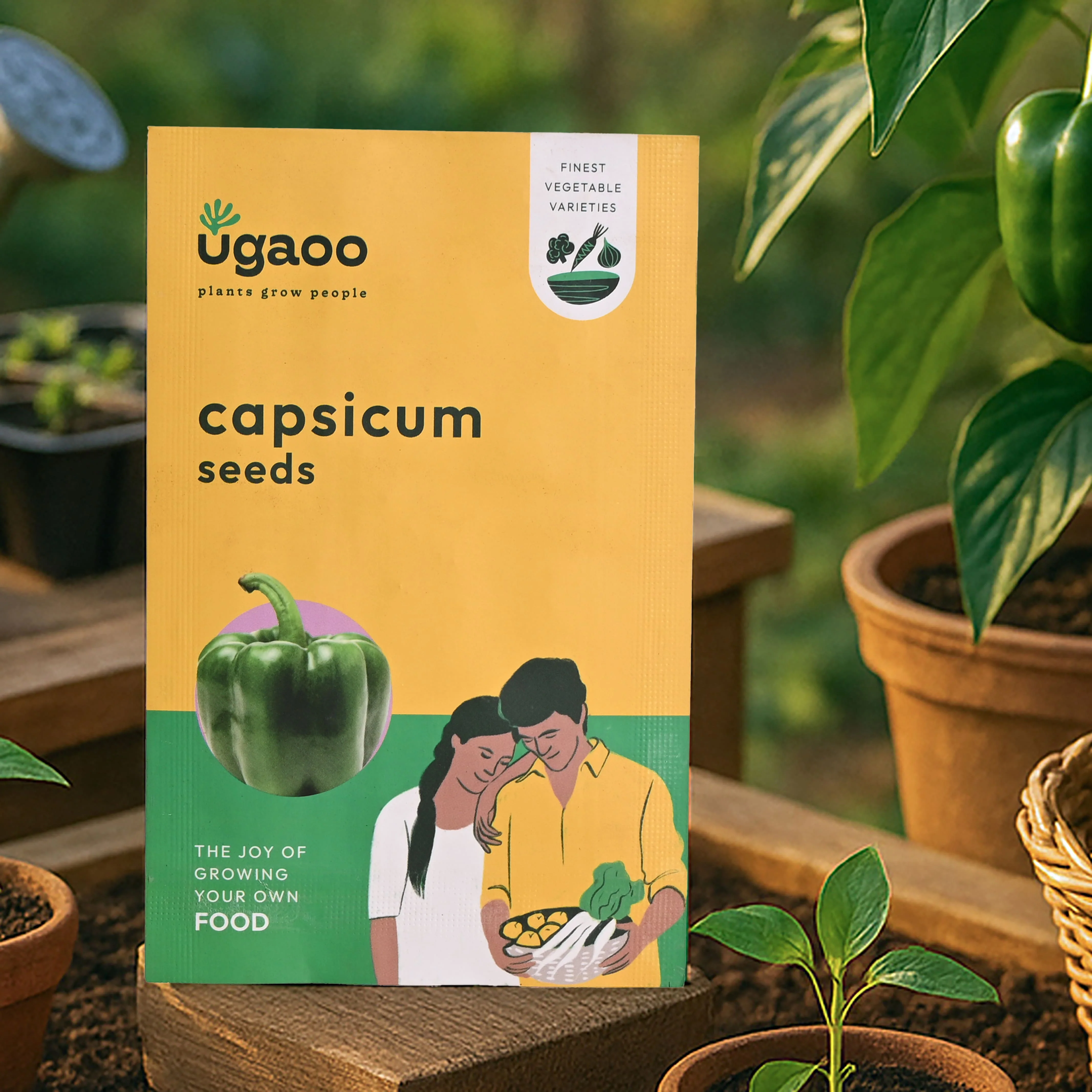 Capsicum Seeds