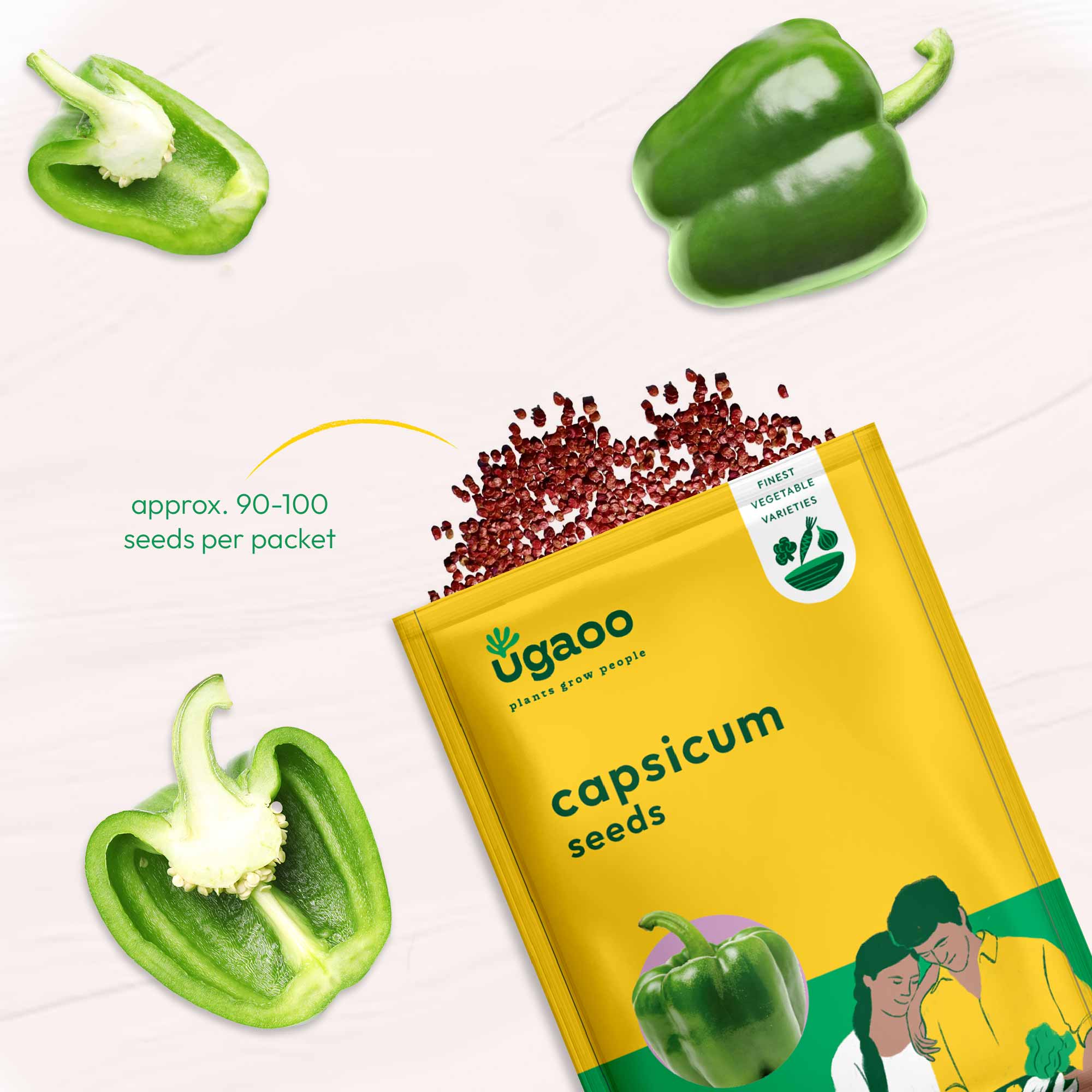 Capsicum Seeds - Image 3