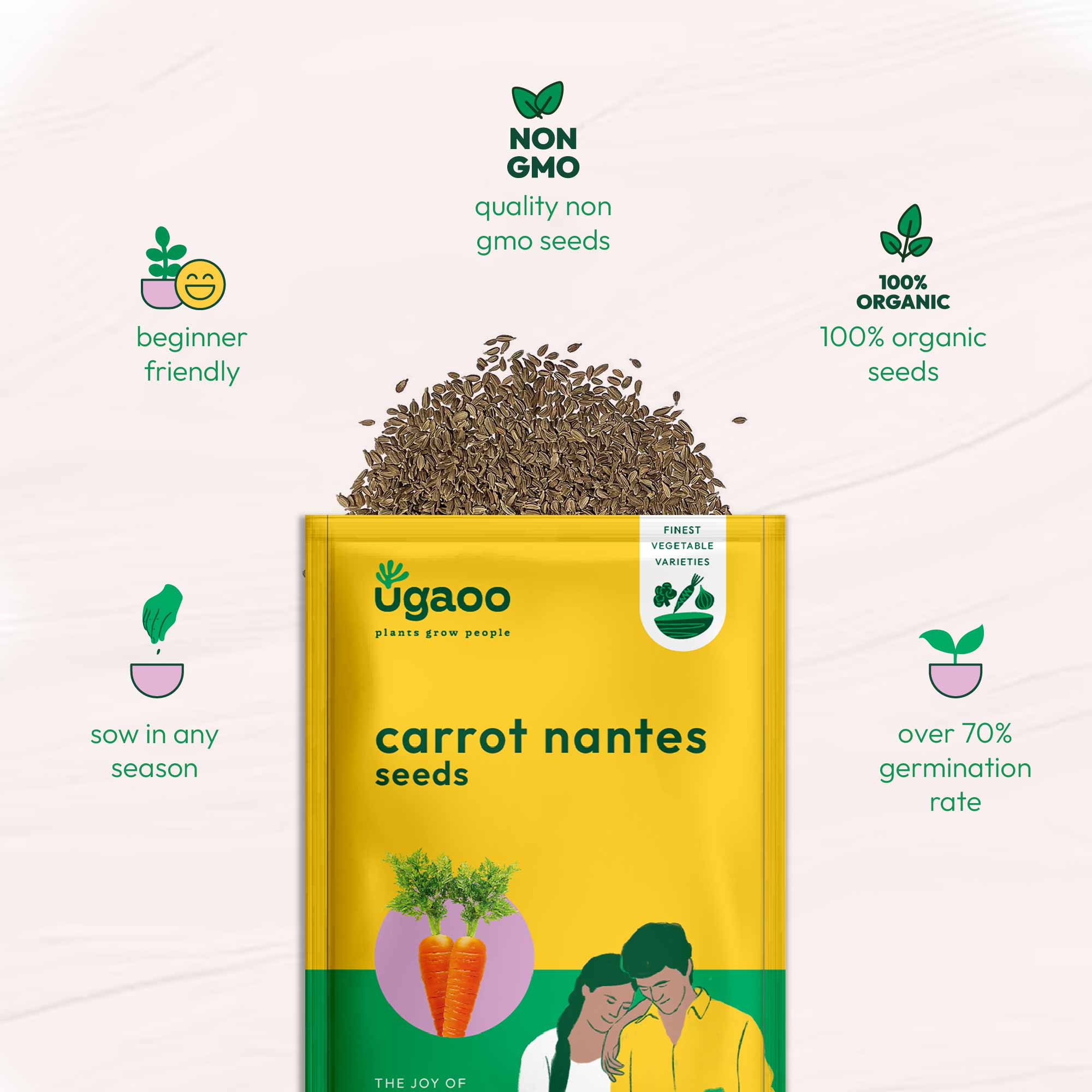Carrot Nantes Seeds (Improved) - Image 6