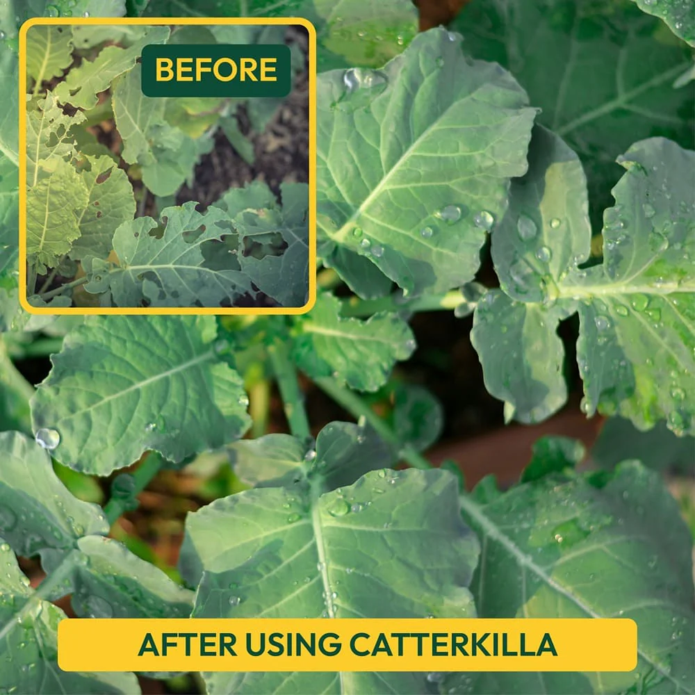 CaterKilla Deltamethrin 2.8% EC - 100 ml - Image 5