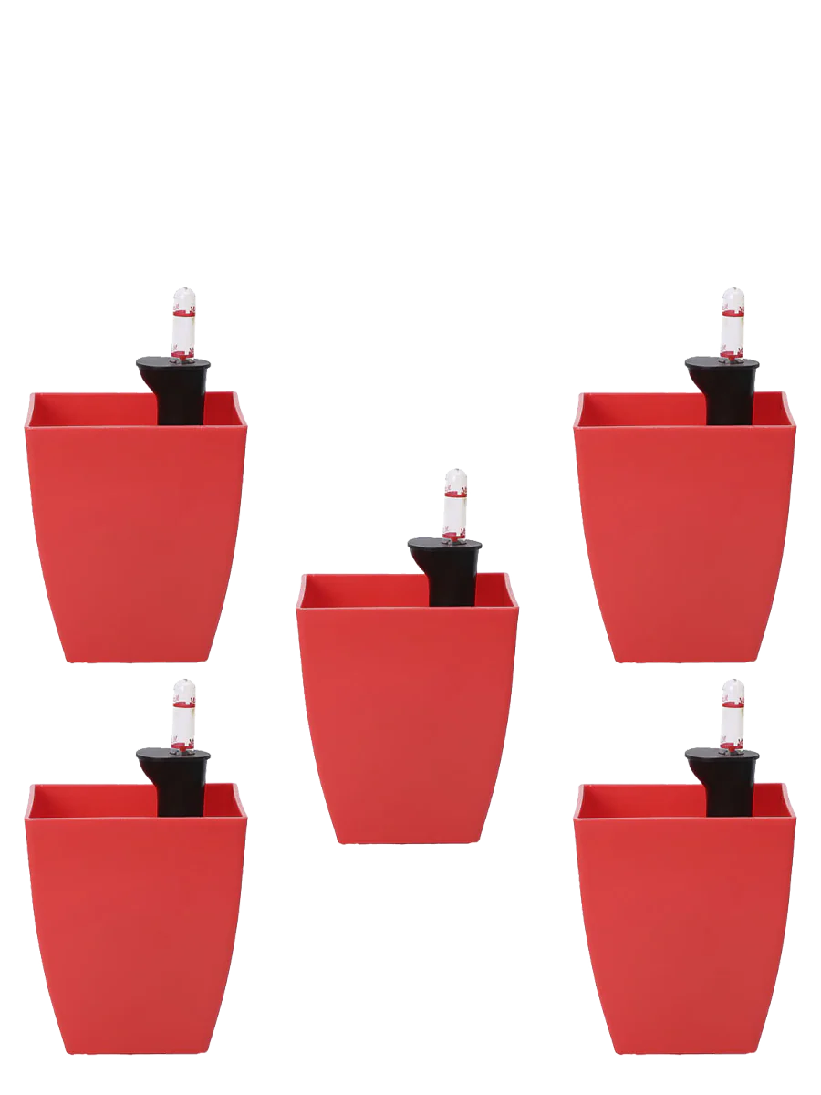 Chatura Self Watering Pots - Set of 5 - Image 5