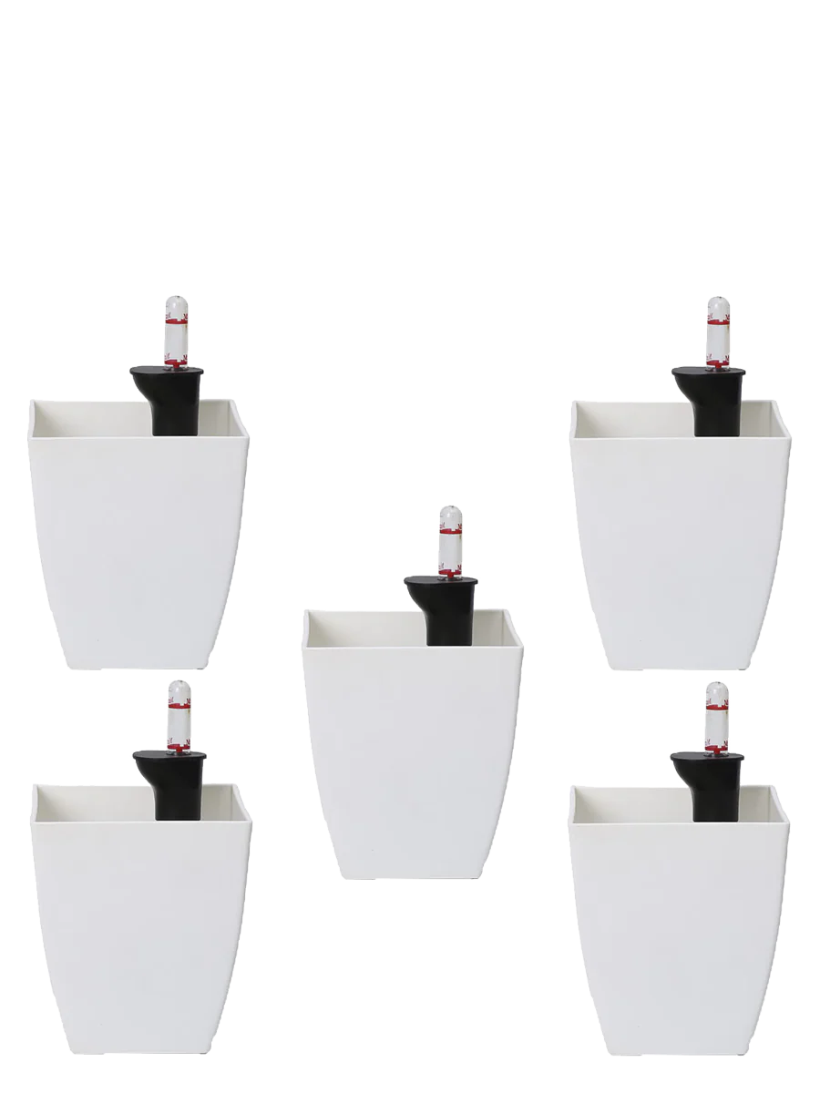 Chatura Self Watering Pots - Set of 5 - Image 8