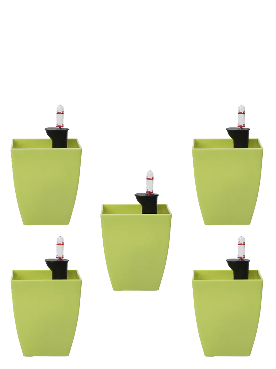 Chatura Self Watering Pots - Set of 5 - Image 9