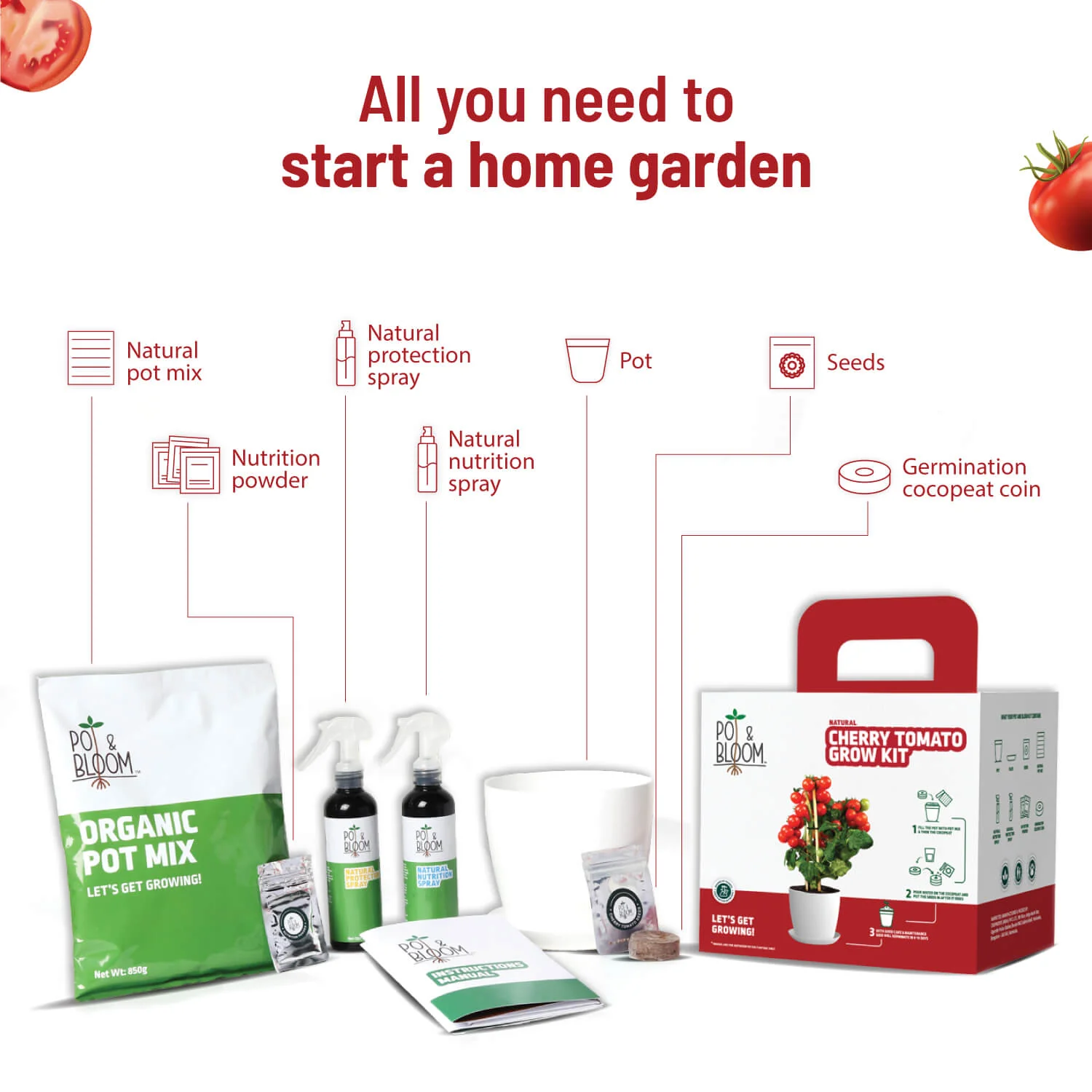 Cherry Tomato Grow Kit - Image 2