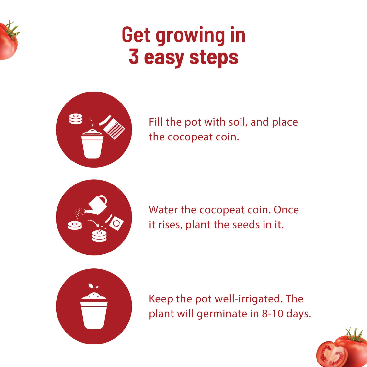 Cherry Tomato Grow Kit - Image 4