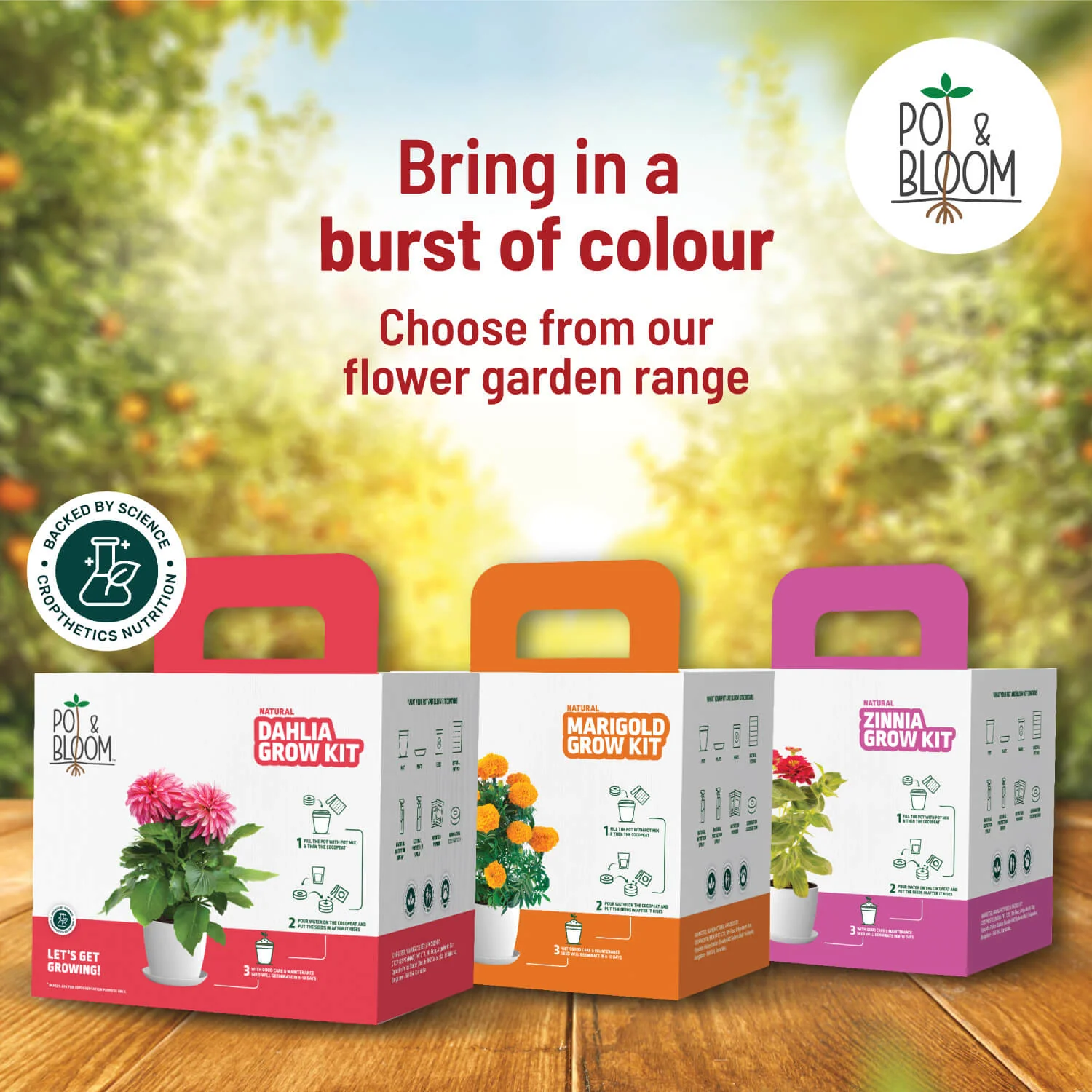 Cherry Tomato Grow Kit - Image 6