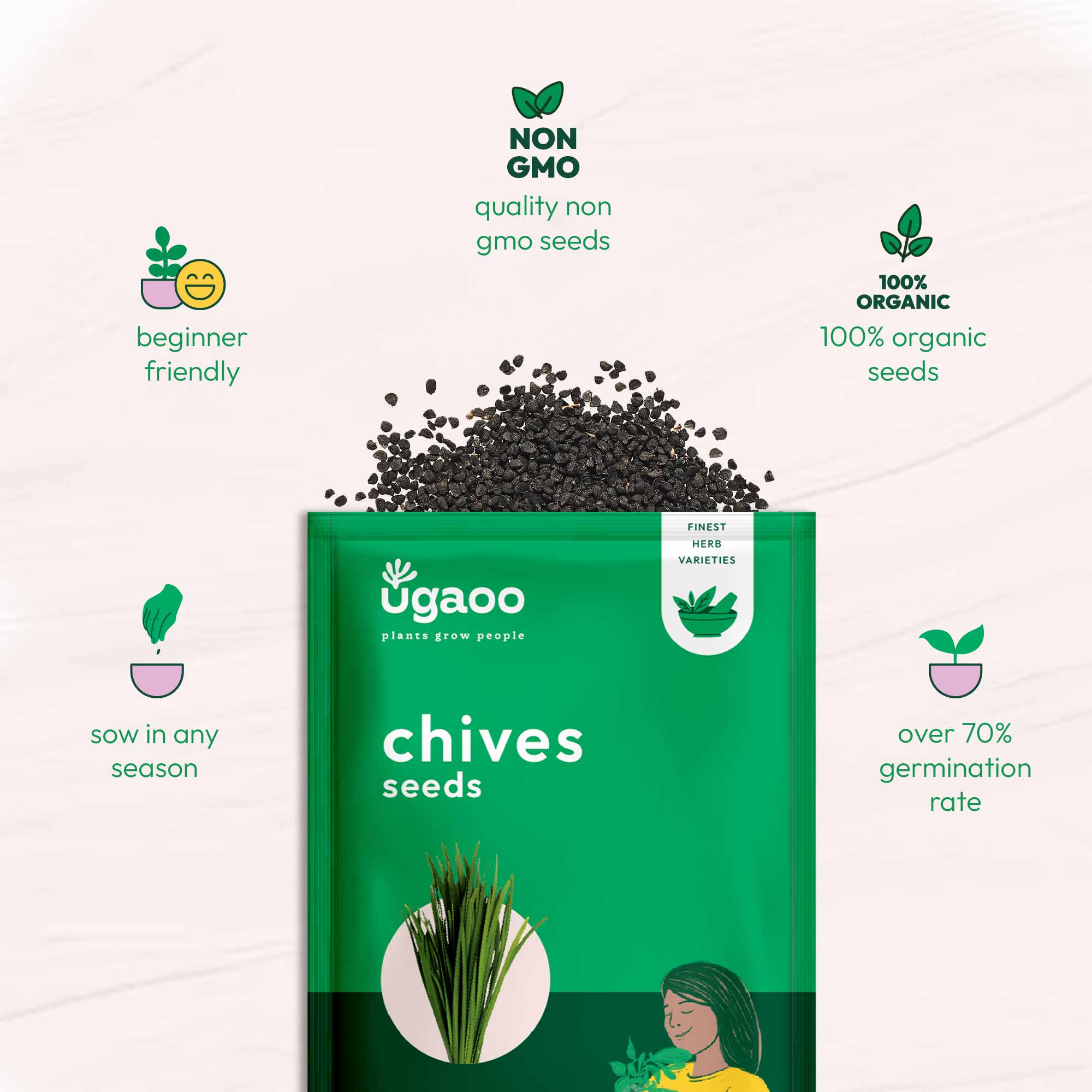 Chives Seeds - Image 6