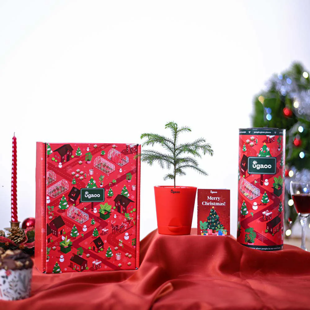 Christmas tree Gift Hamper - Image 2
