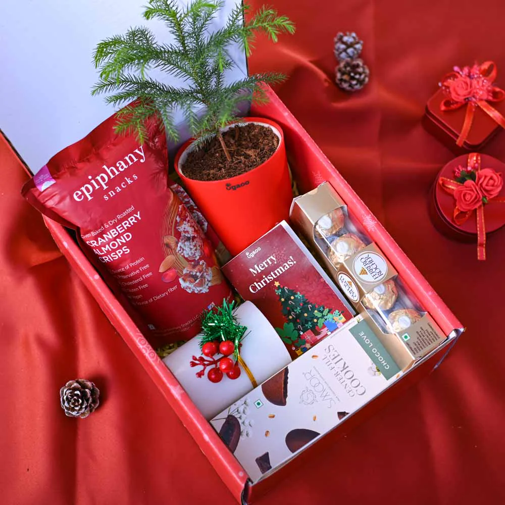 Christmas tree Gift Hamper - Image 8