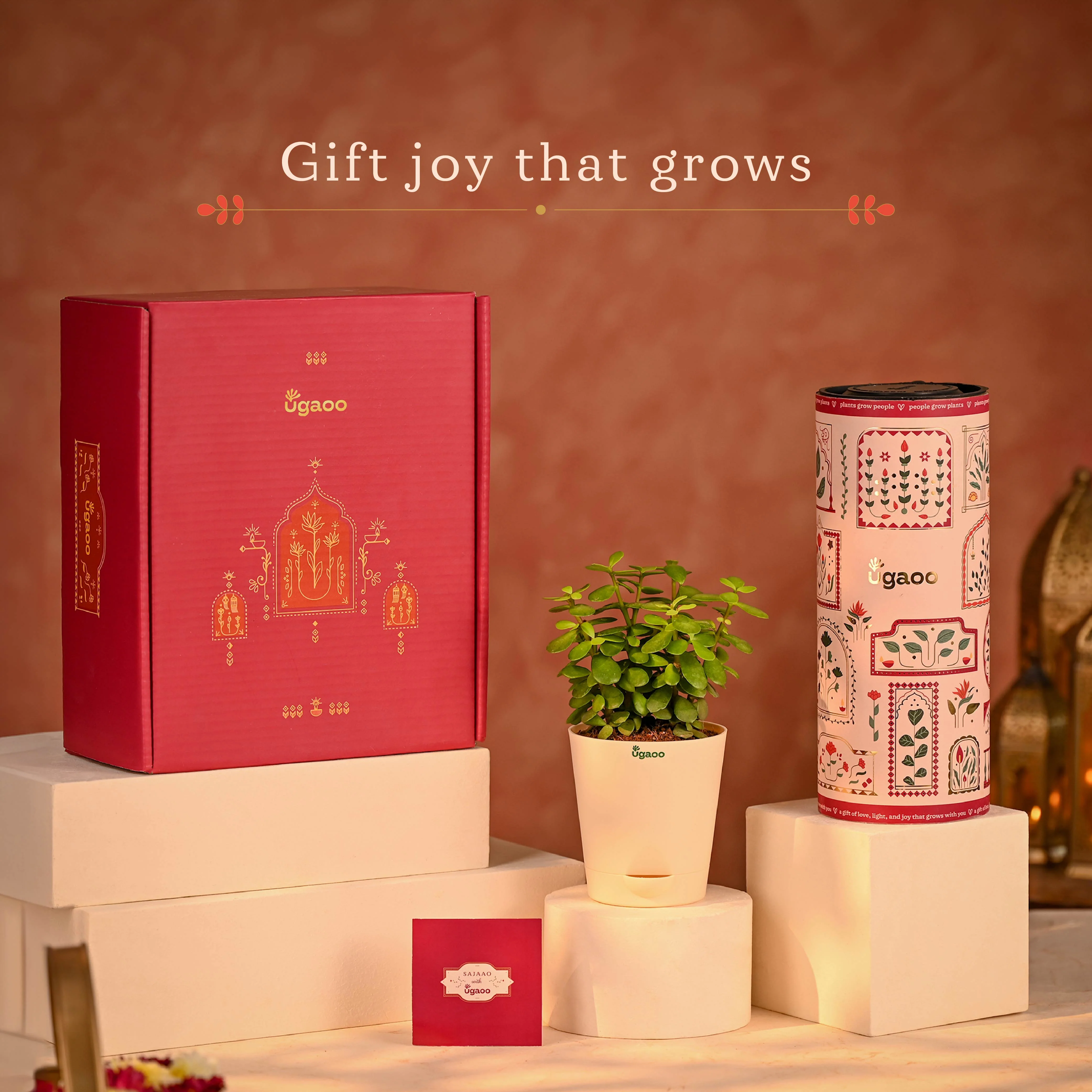 Circle of Blessings-Complete Diwali Hamper - Image 14