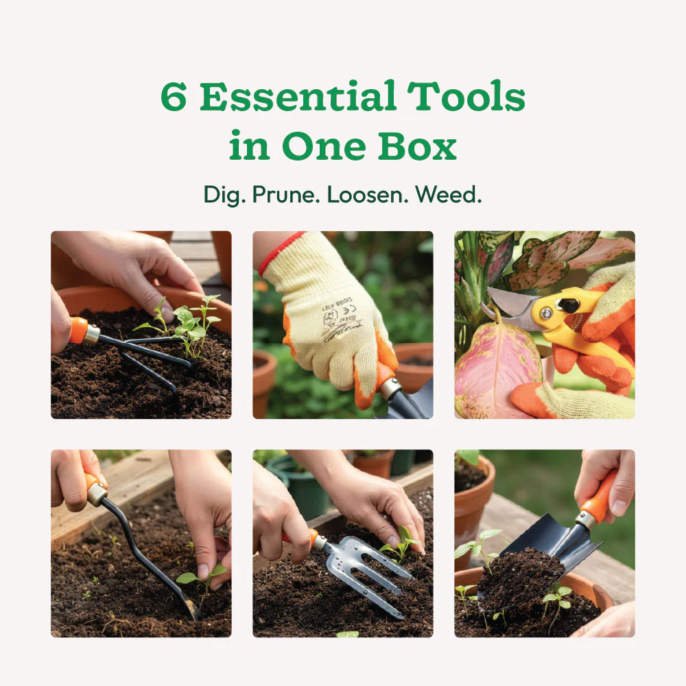 Complete Garden Tool Kit - Image 4