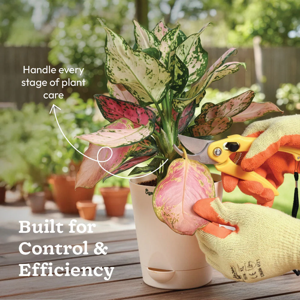 Complete Garden Tool Kit - Image 5