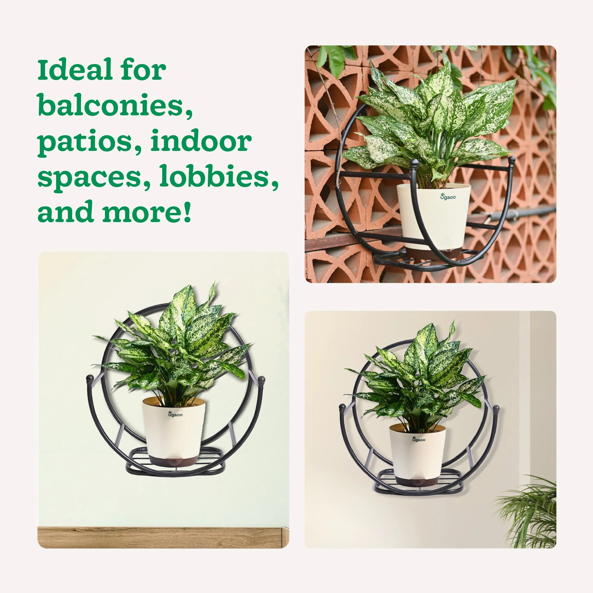 Concave Wall Mounting Planter - Image 5