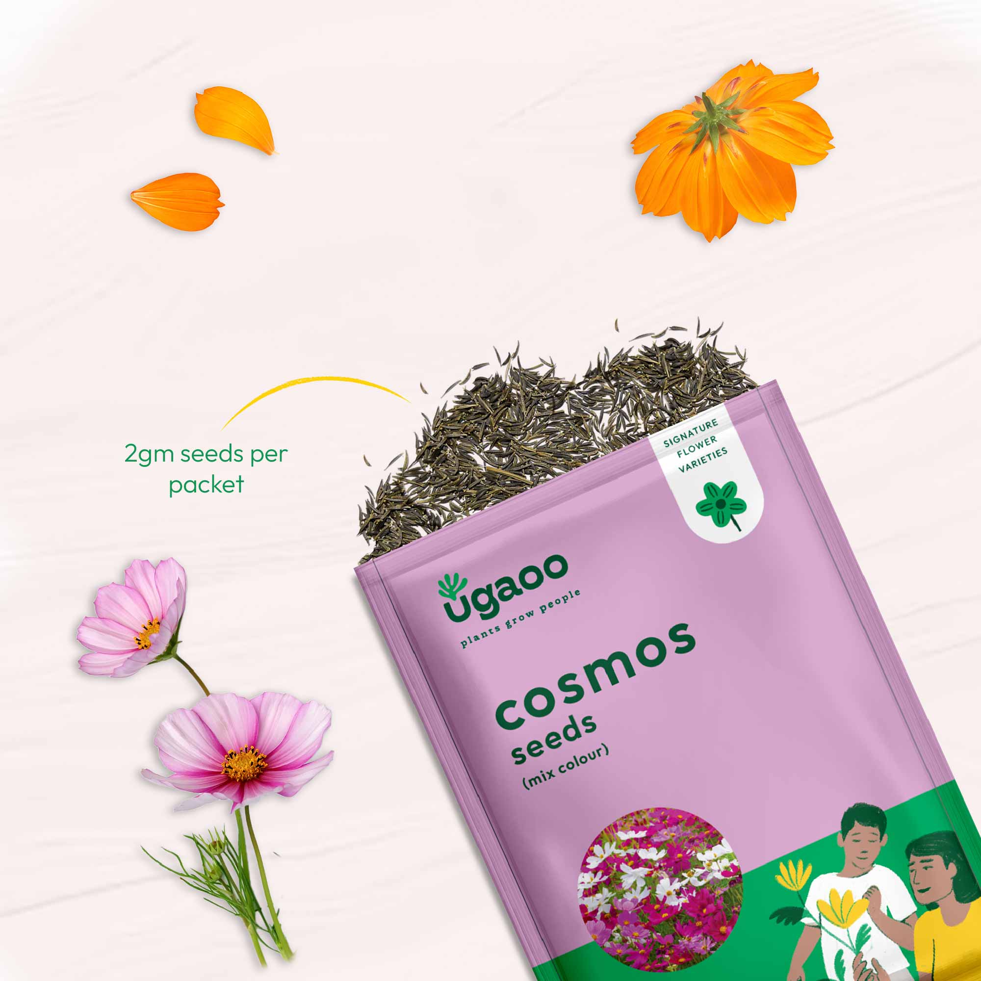 Cosmos Mix Seeds - Image 3