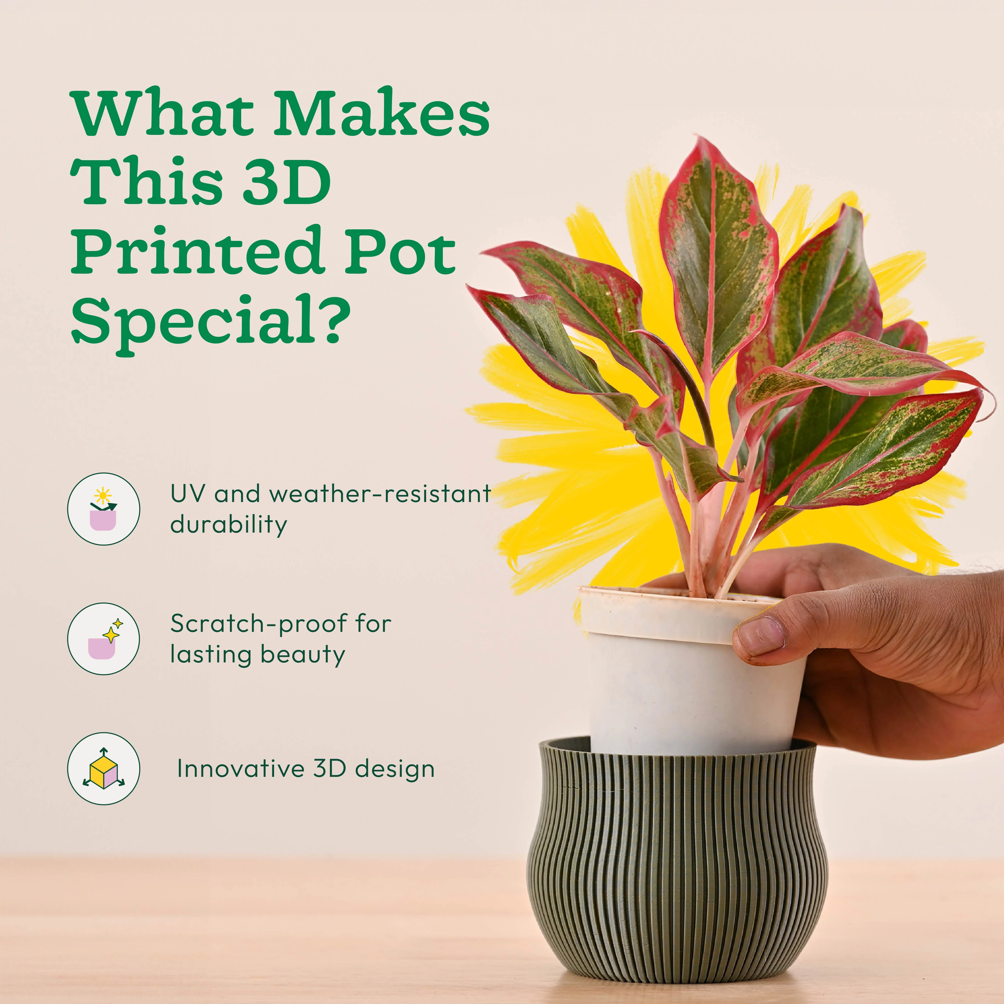 Crown Planter - Image 11