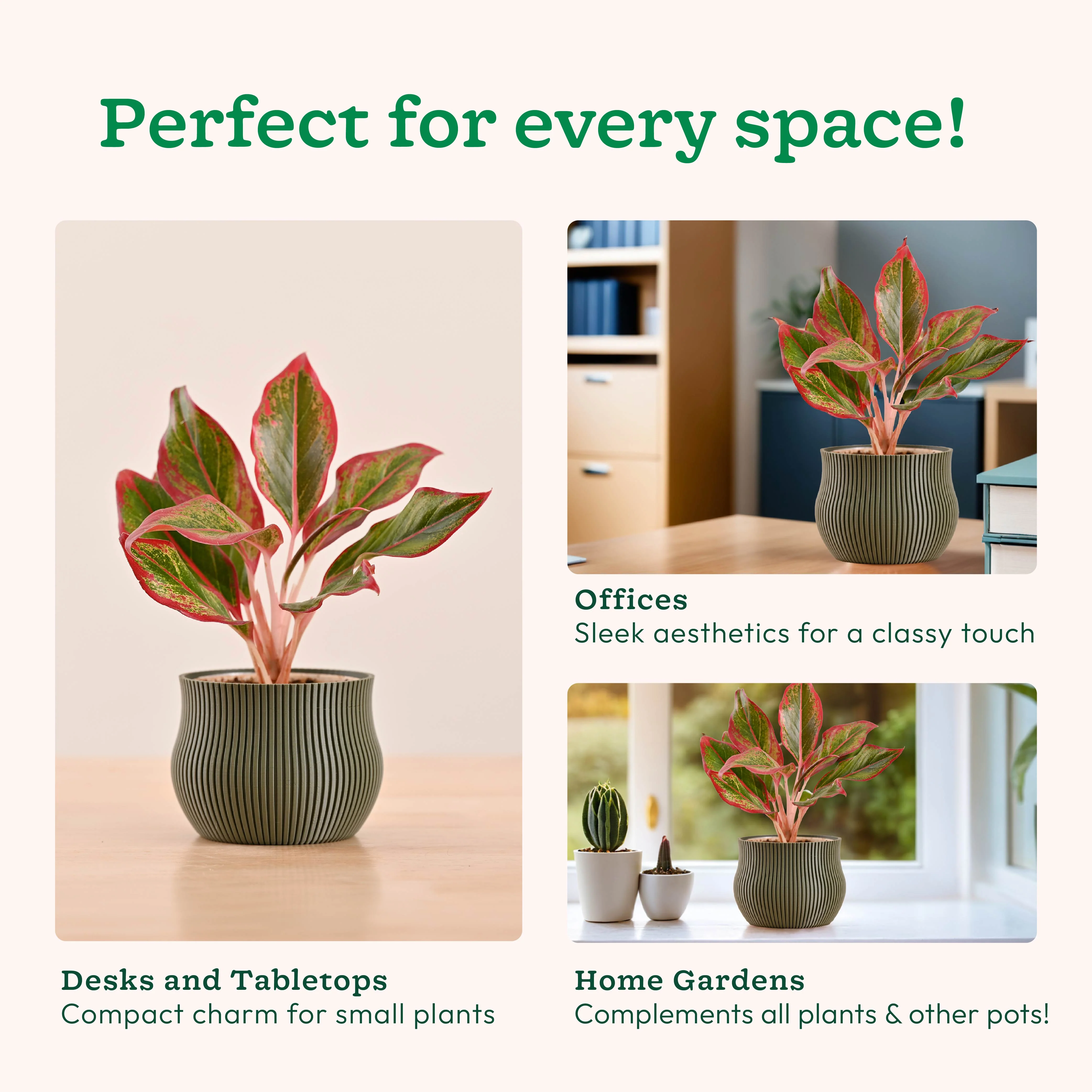 Crown Planter - Image 12