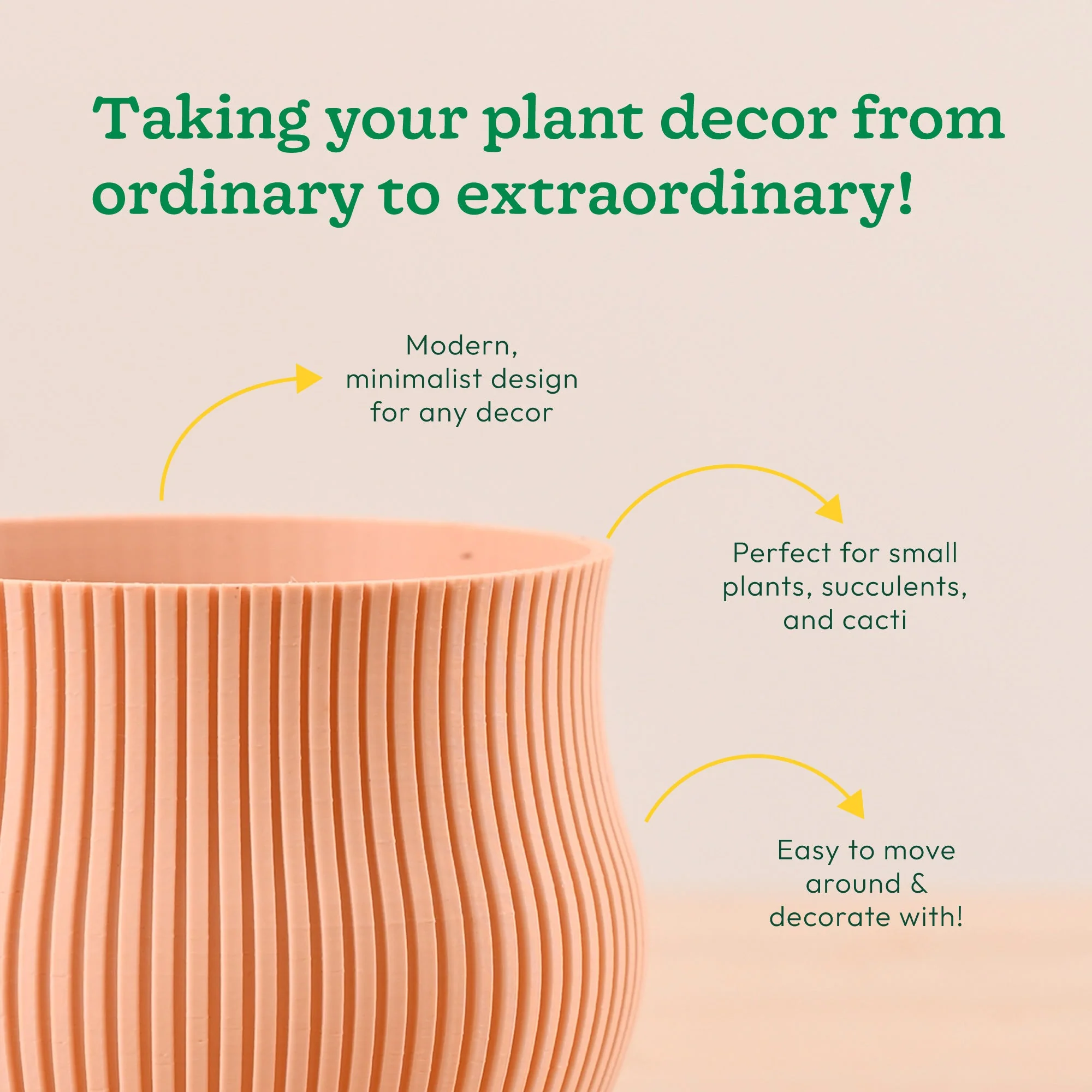 Crown Planter - Image 4