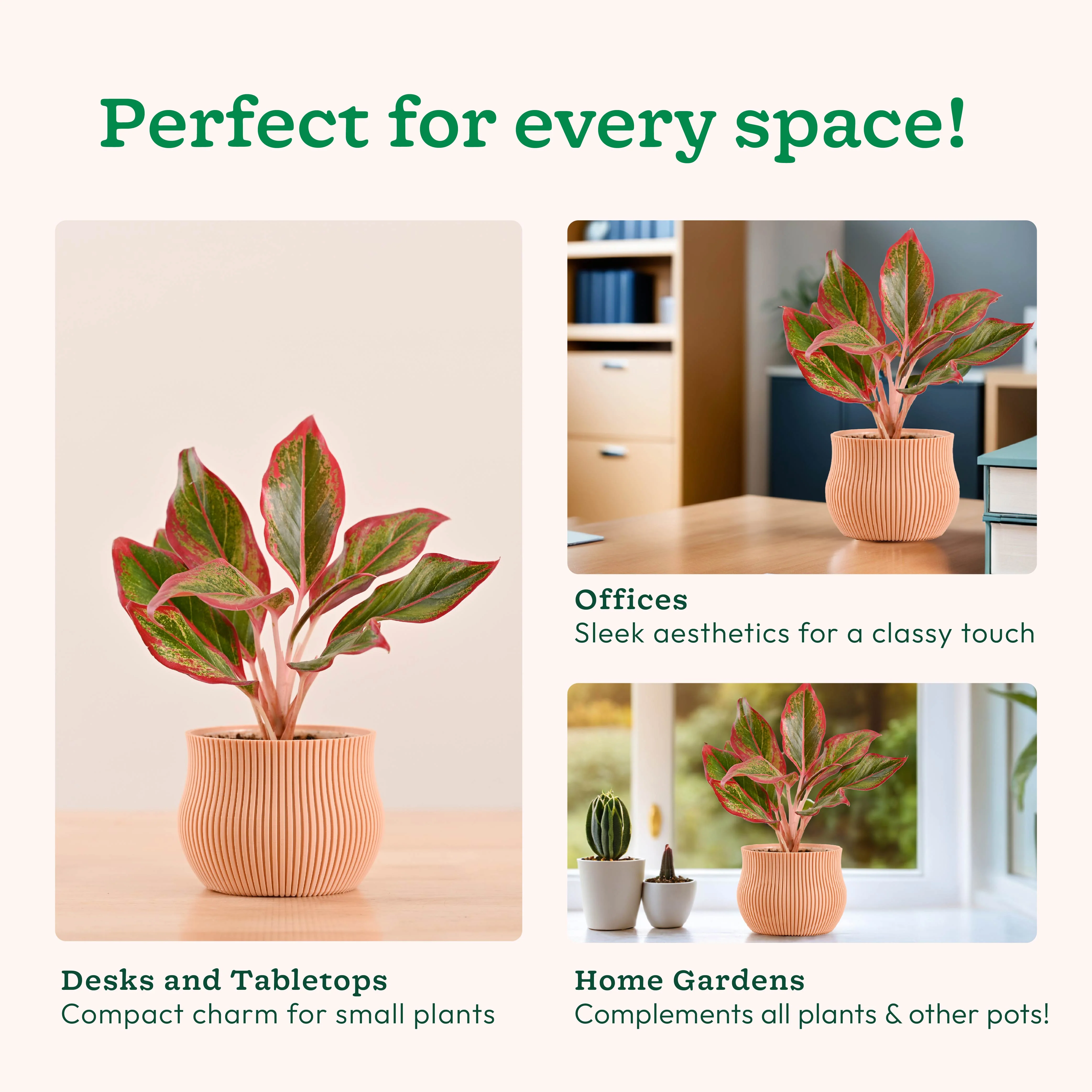 Crown Planter - Image 6