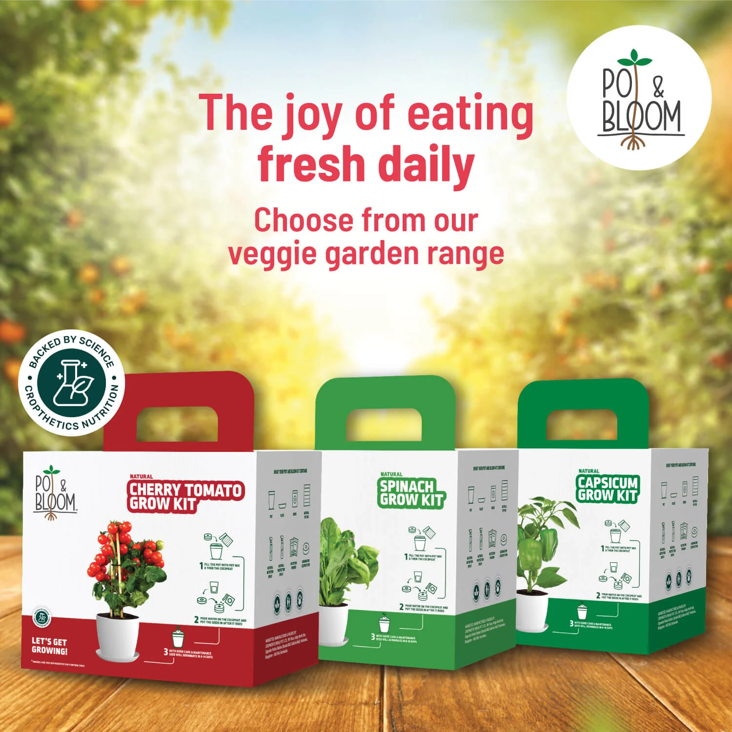 Dahlia Grow Kit - Image 6