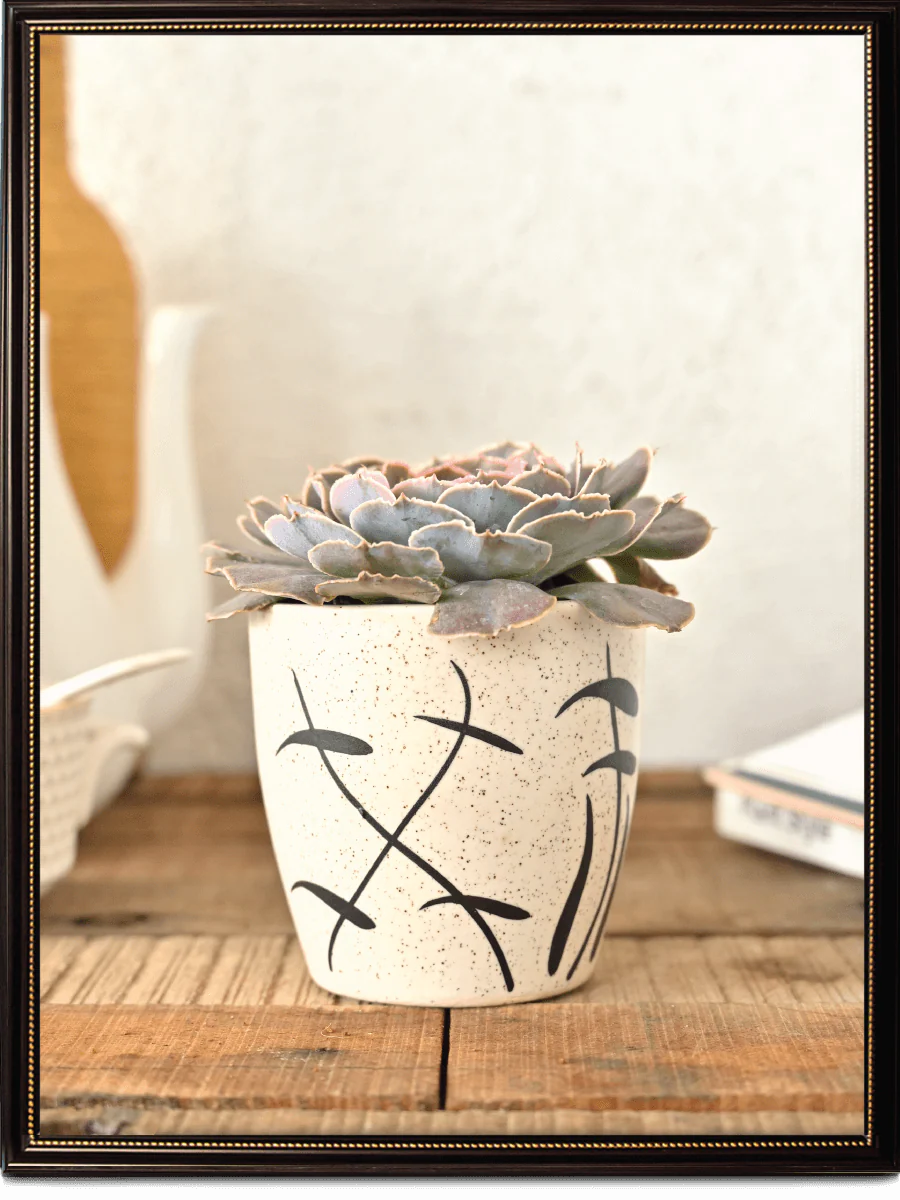 Damru Matte Finish Ceramic Pot (3.6 Inch Diameter) - Image 3