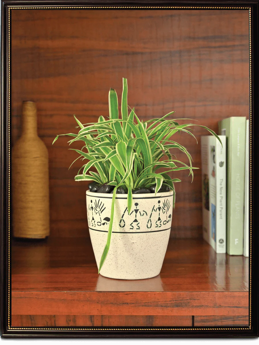 Damru Matte Finish Ceramic Pot (5.5 Inch Diameter) - Image 7