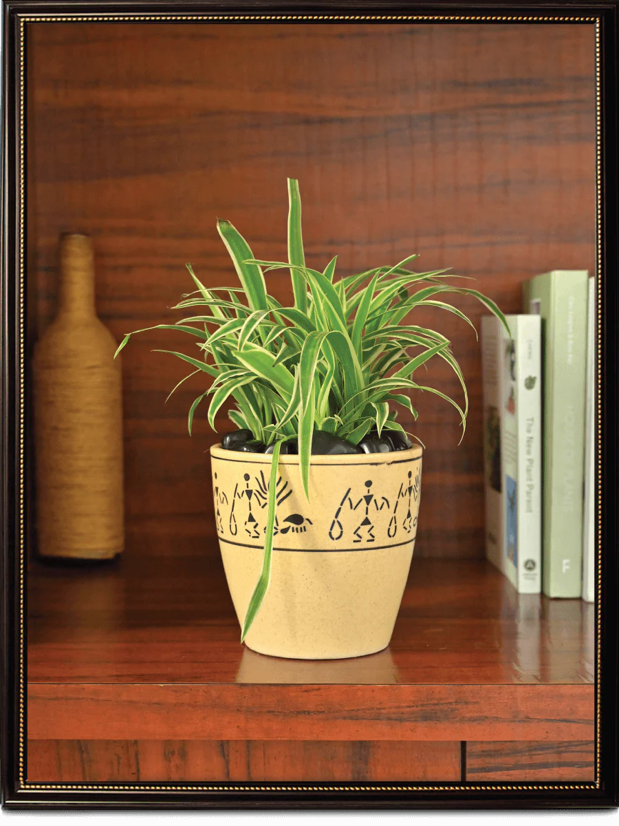 Damru Matte Finish Ceramic Pot (5.5 Inch Diameter) - Image 8