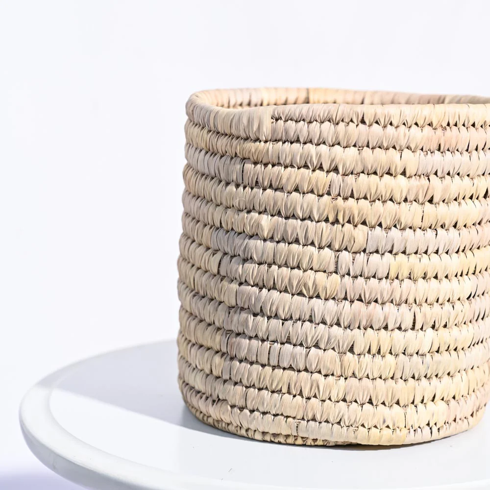 Date Palm Planter - Image 5