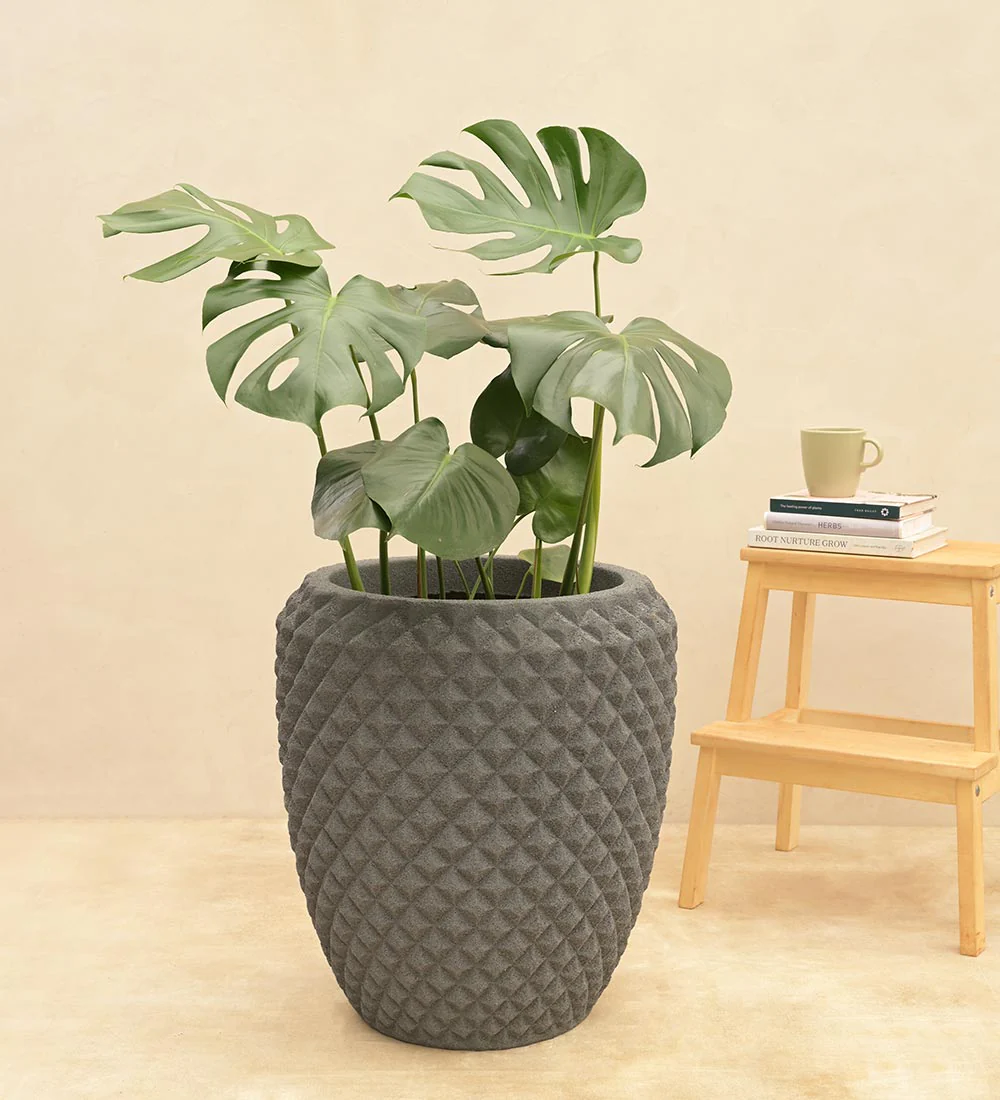 Diamond Low Planter - Image 6