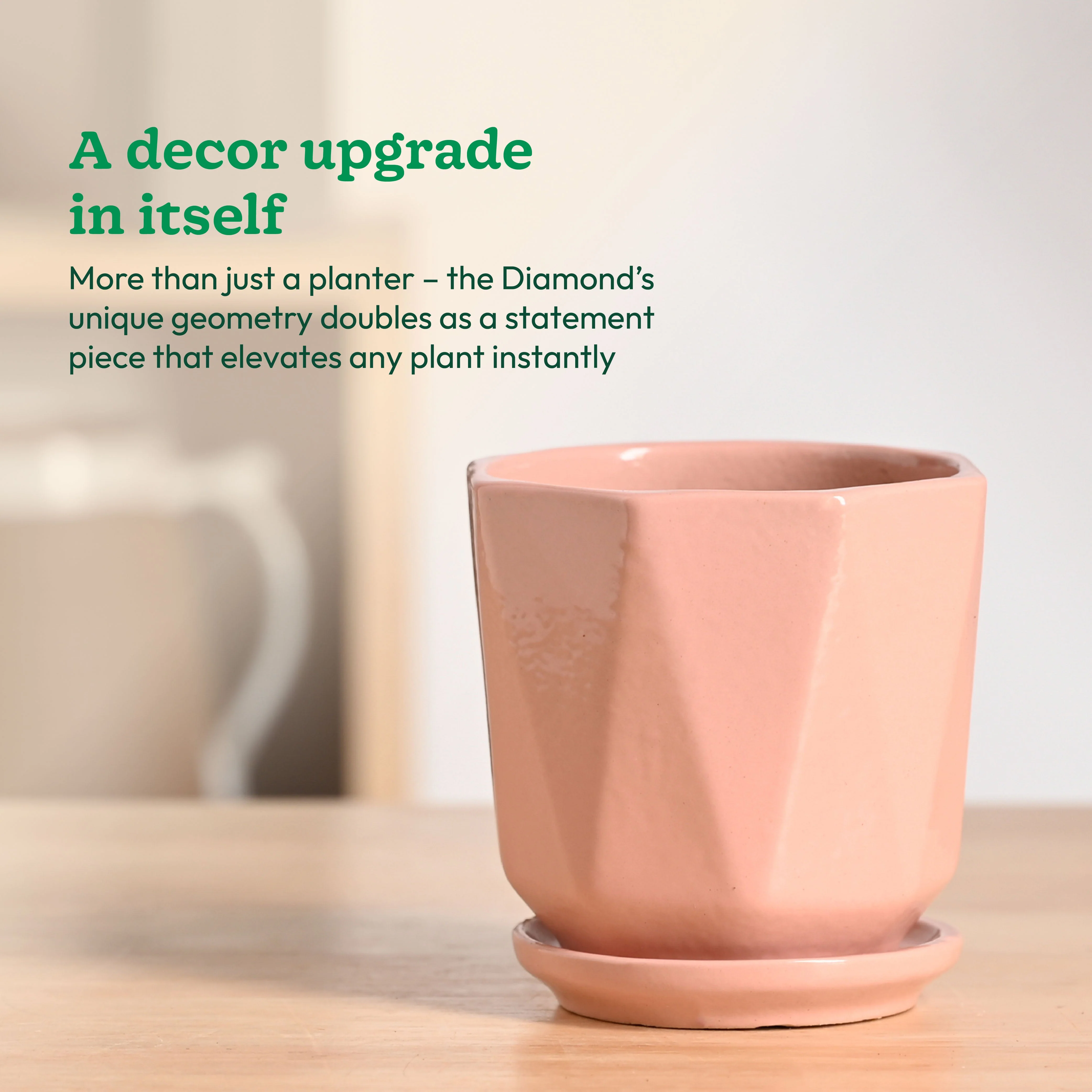 Diamond Ceramic Pot - Image 14