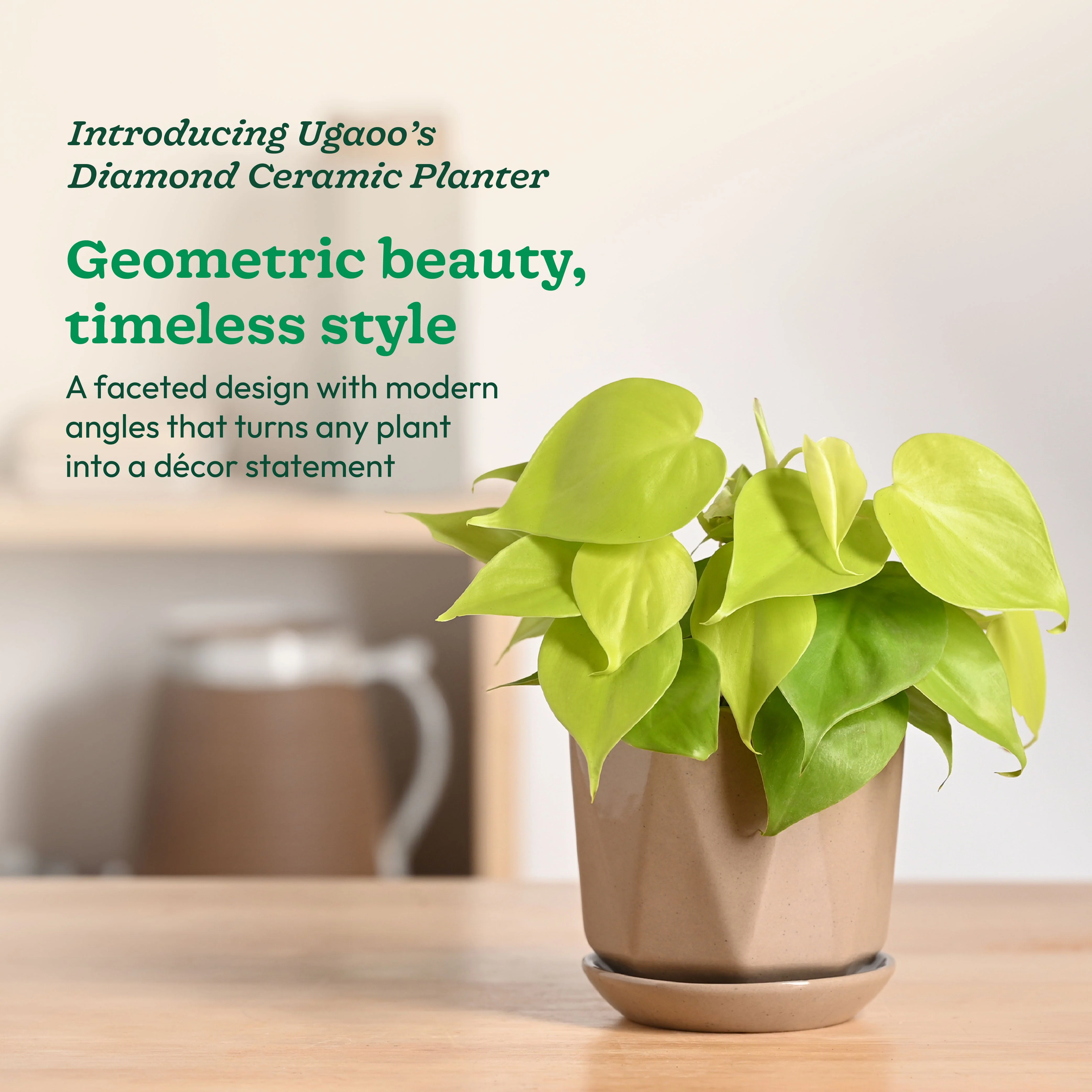 Diamond Ceramic Pot - Image 17