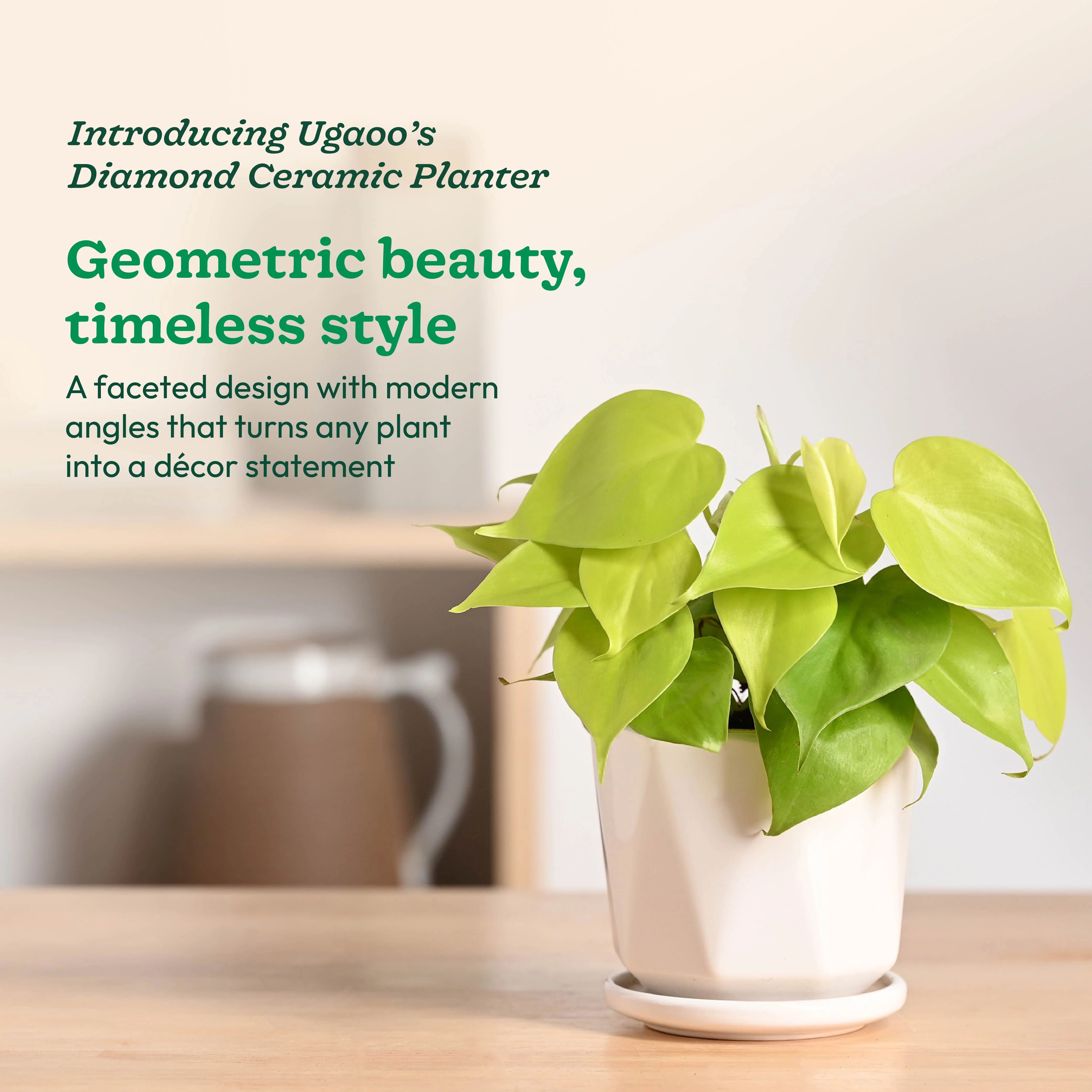 Diamond Ceramic Pot - Image 24