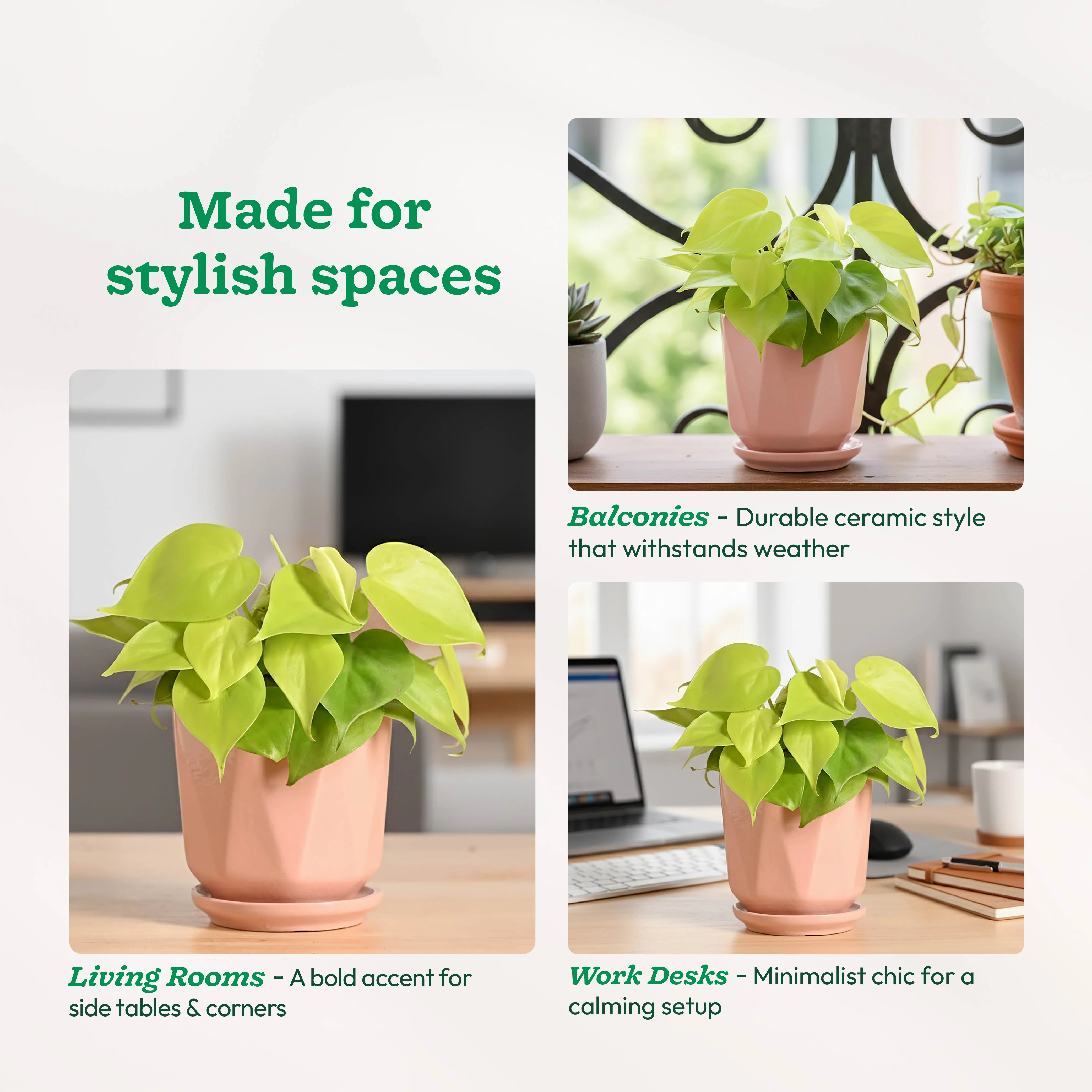 Diamond Ceramic Pot - Image 25