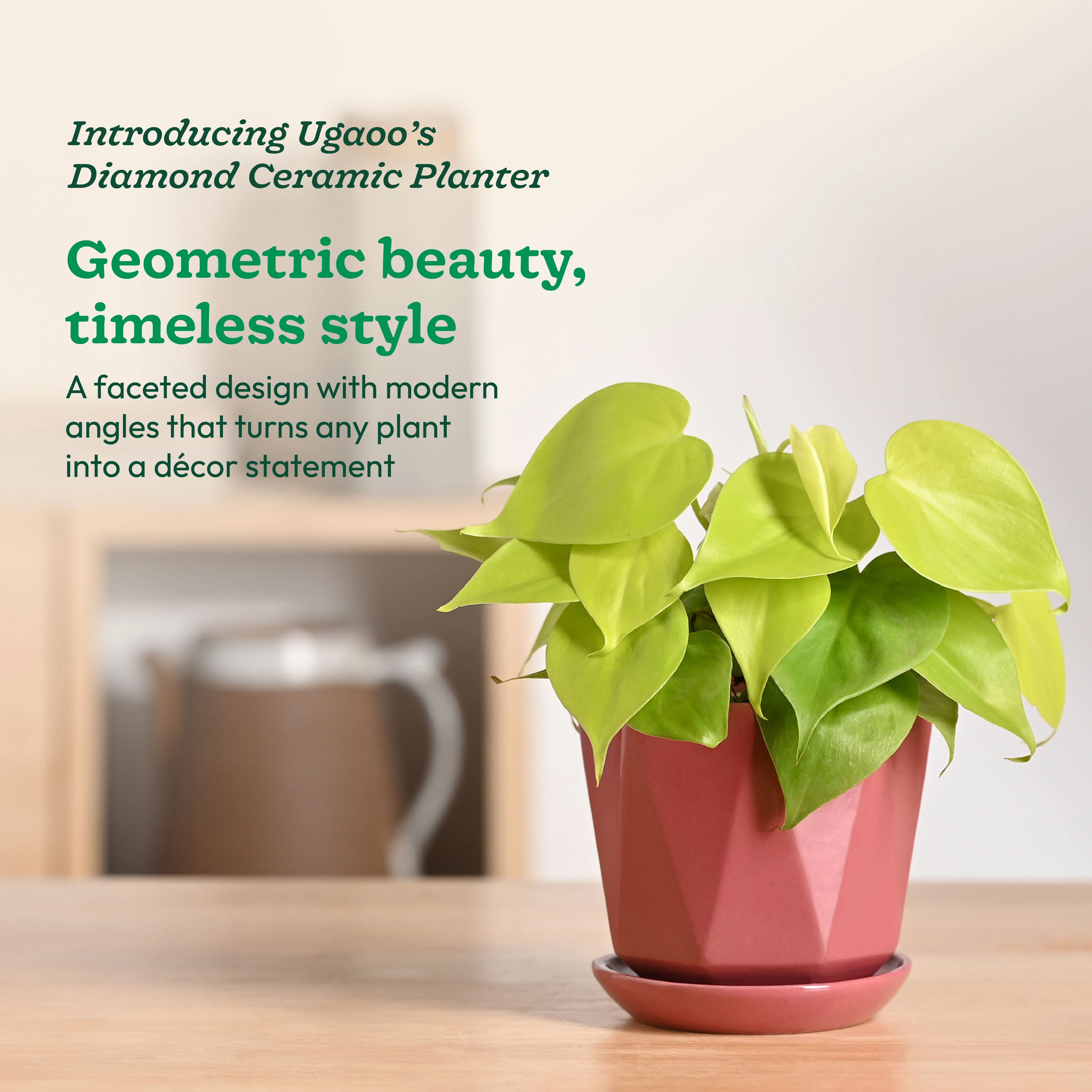 Diamond Ceramic Pot - Image 3
