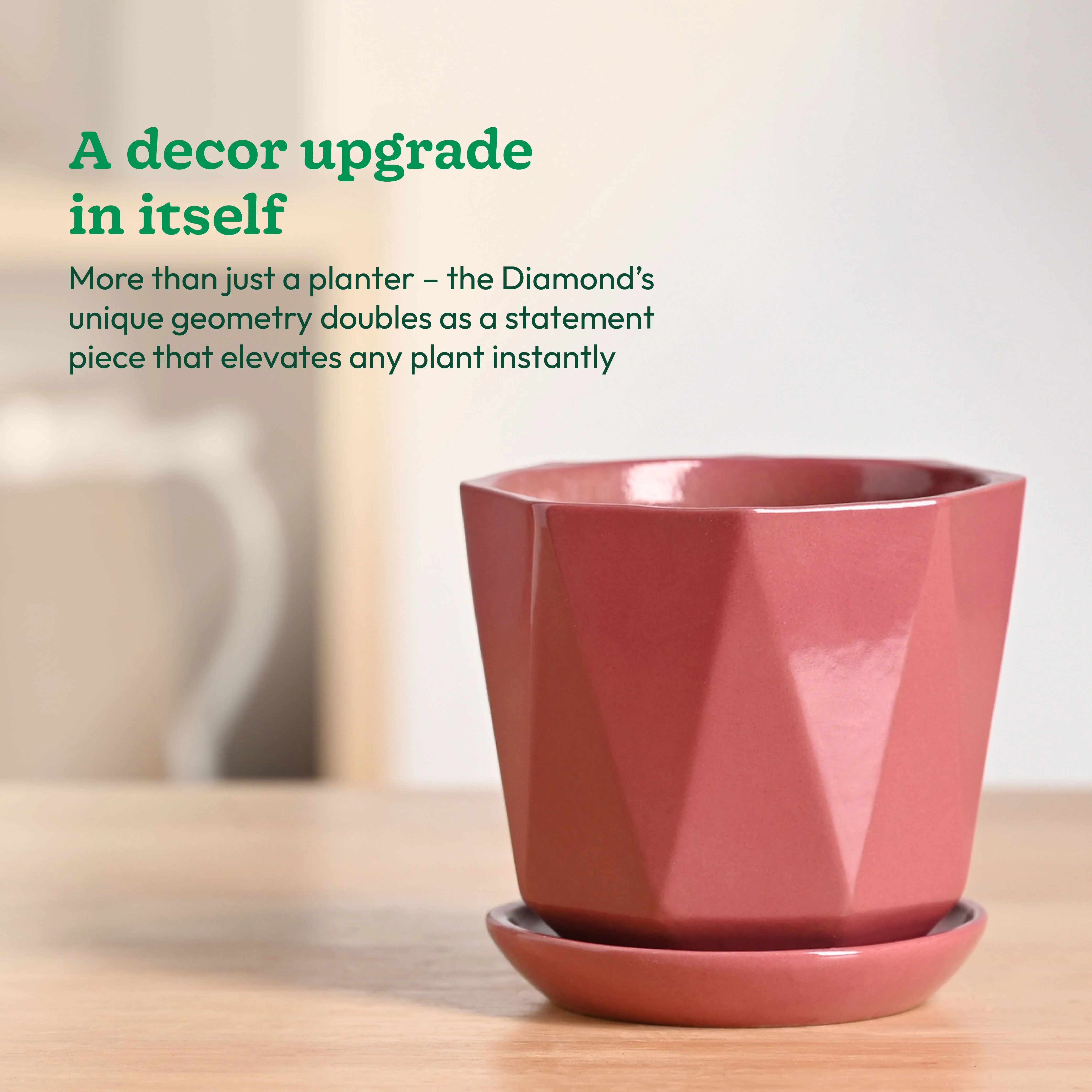 Diamond Ceramic Pot - Image 6