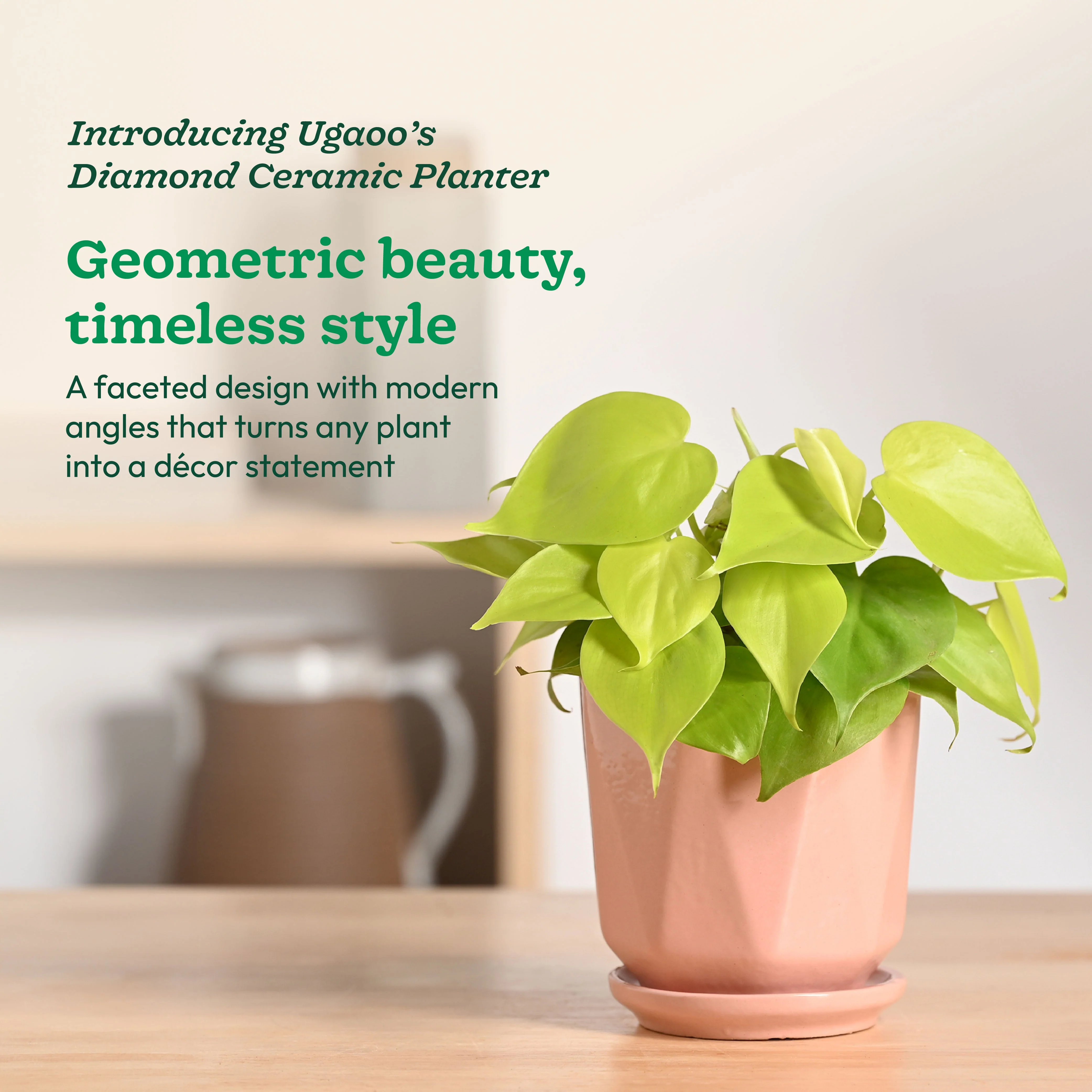 Diamond Ceramic Pot - Image 9