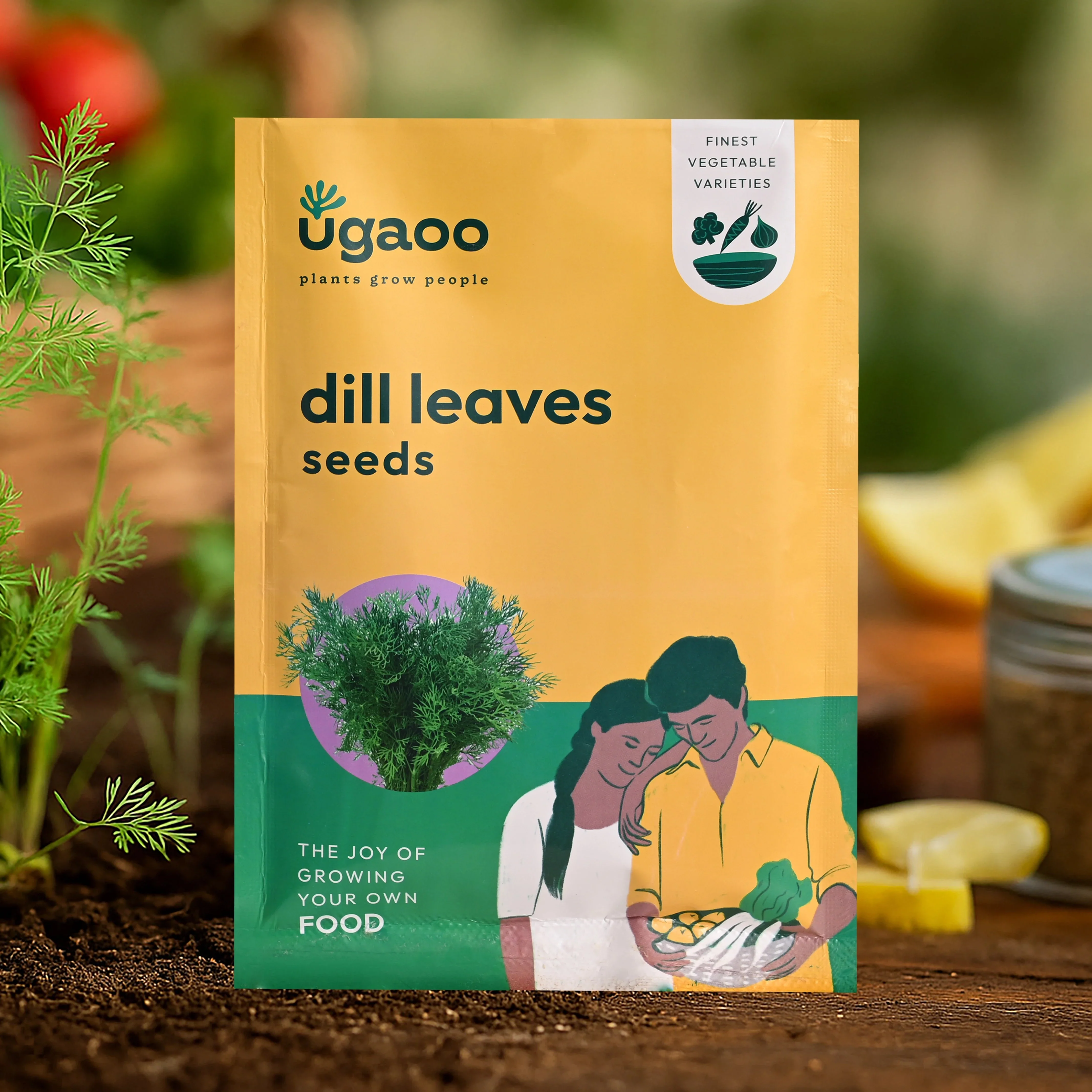 Dill Leaves Seeds (Suwa)