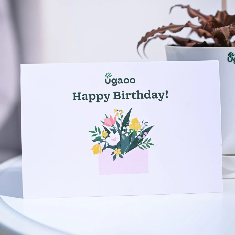 Earth Star Birthday Gift Hamper - Image 4