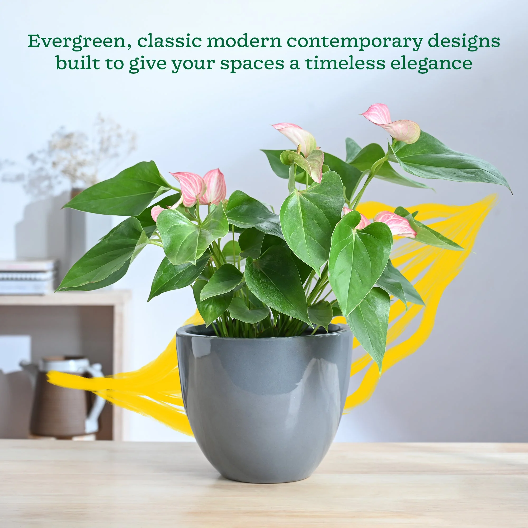 Echoing Eternity Ceramic Planter - Image 10