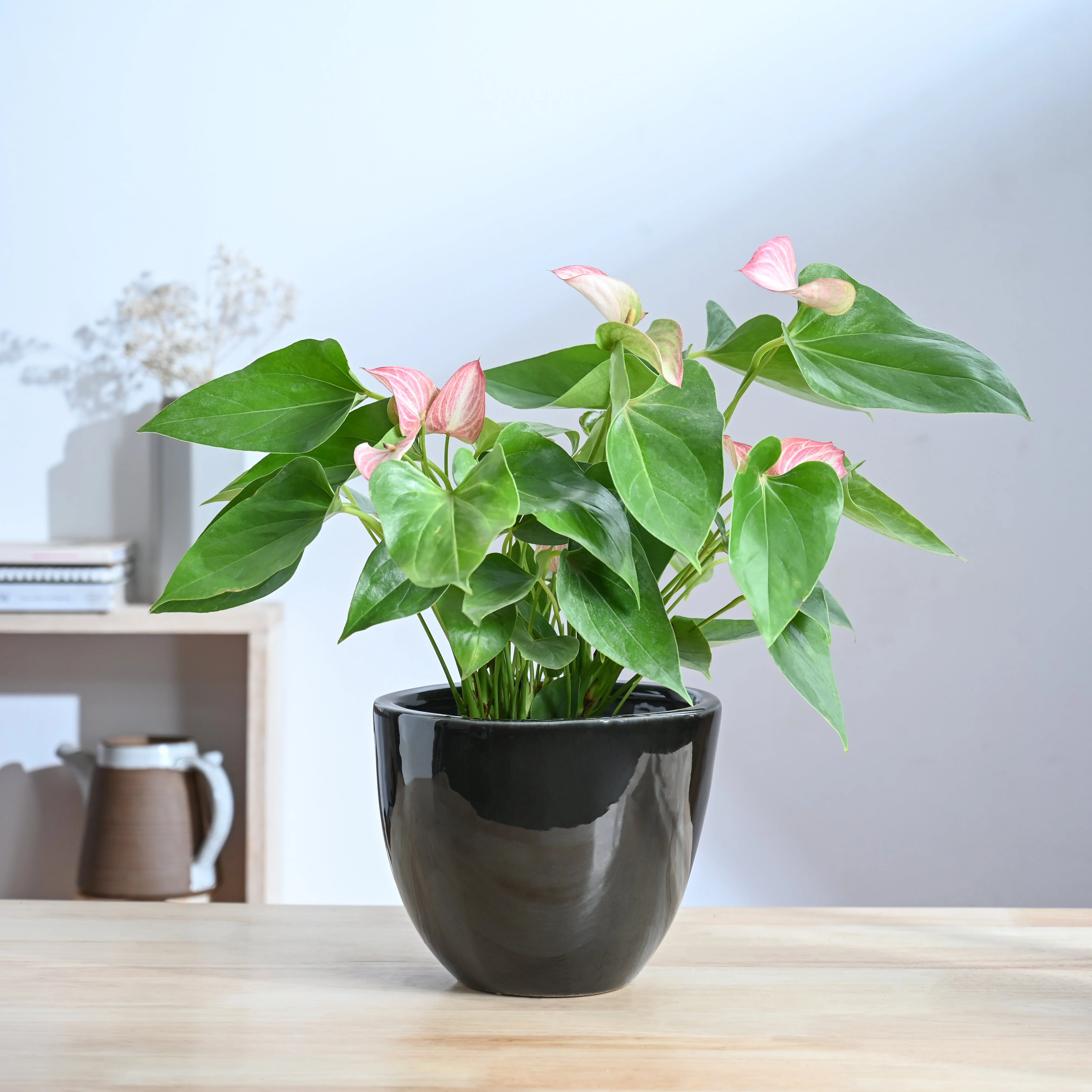 Echoing Eternity Ceramic Planter - Image 17